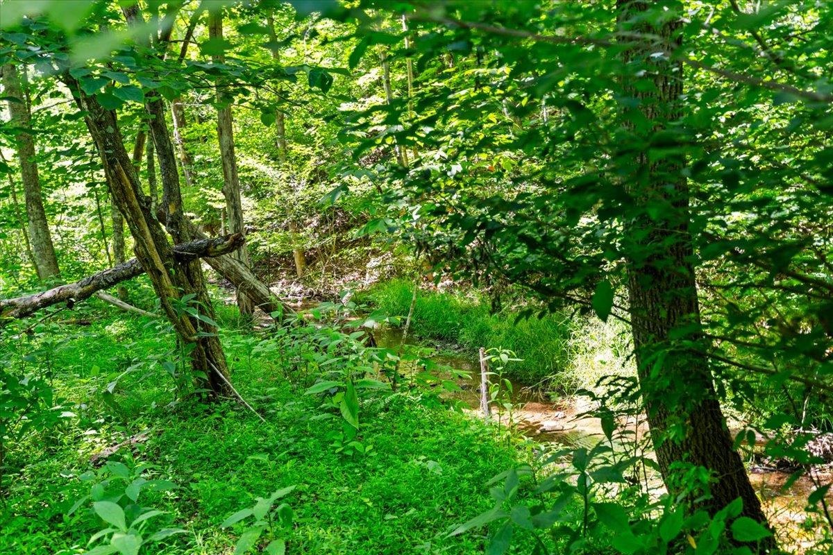 Tbd Lota-21.acr Baptist Hollow Road Hiwassee VA 24347