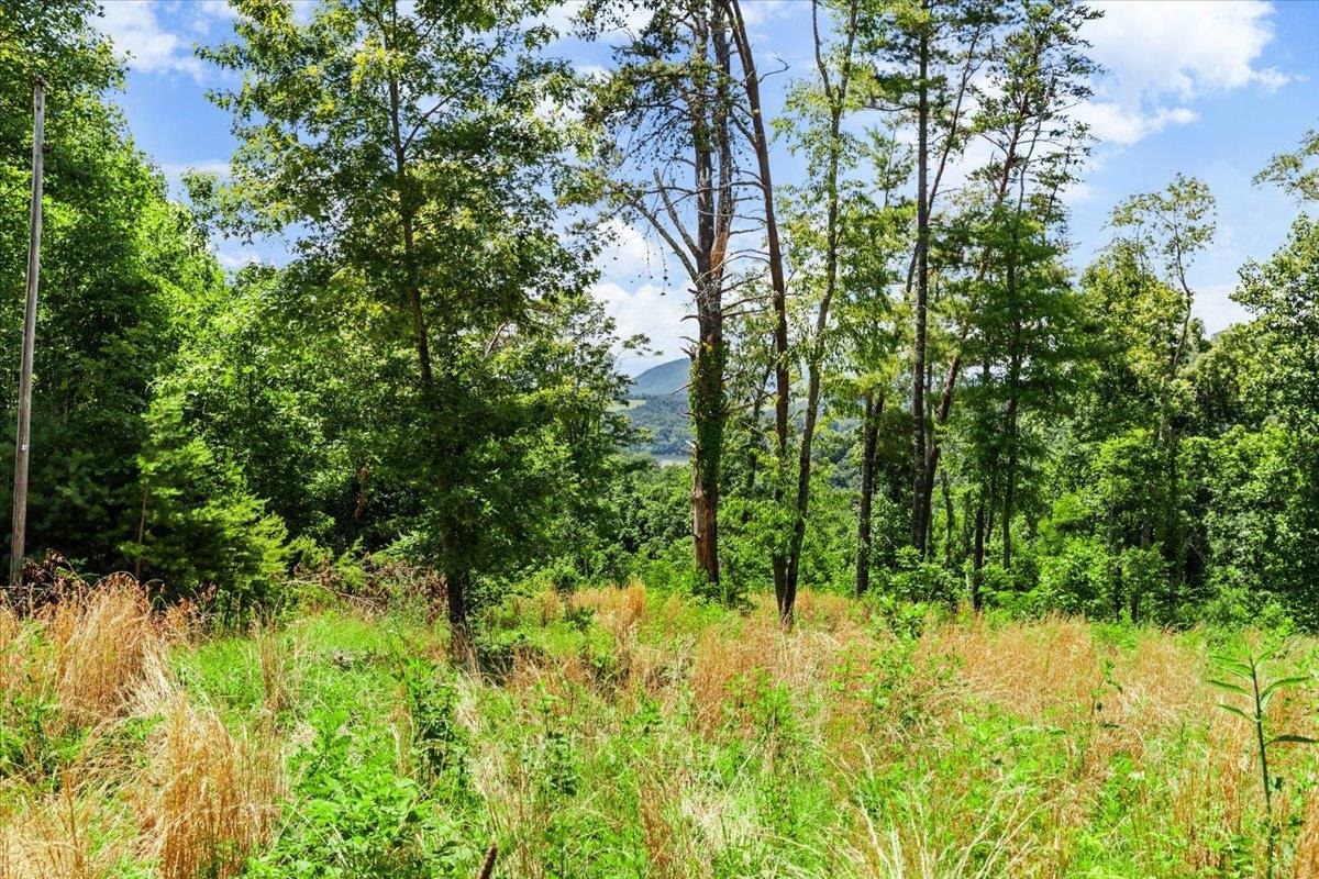 Tbd Lota-21.acr Baptist Hollow Road Hiwassee VA 24347