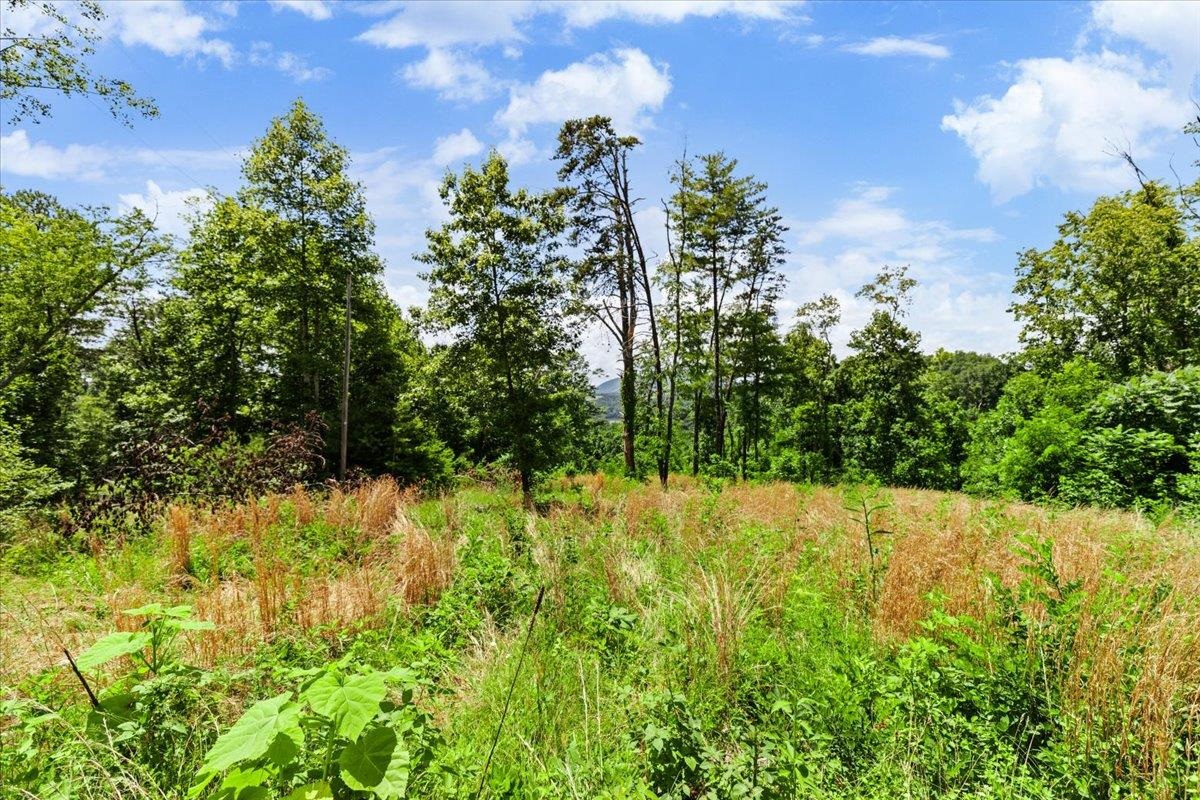 Tbd Lota-21.acr Baptist Hollow Road Hiwassee VA 24347