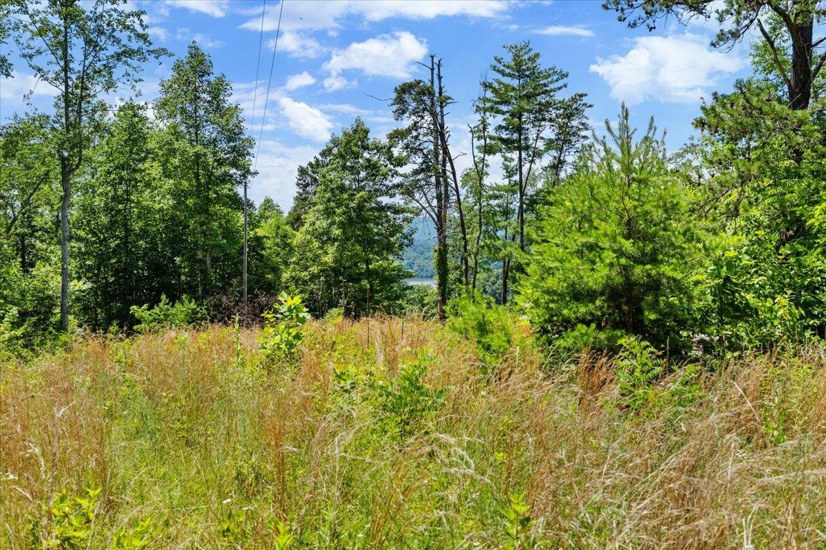 Tbd Lota-21.acr Baptist Hollow Road Hiwassee VA 24347