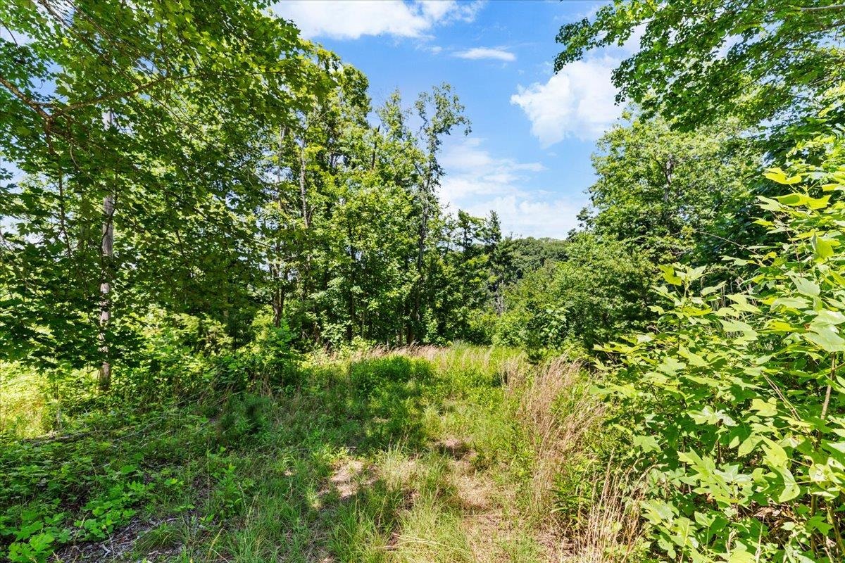 Tbd Lota-21.acr Baptist Hollow Road Hiwassee VA 24347