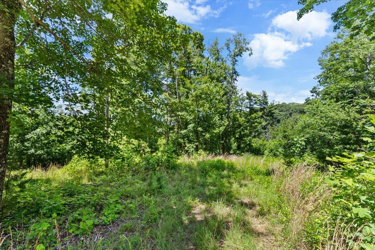 Tbd Lota-21.acr Baptist Hollow Road Hiwassee VA 24347