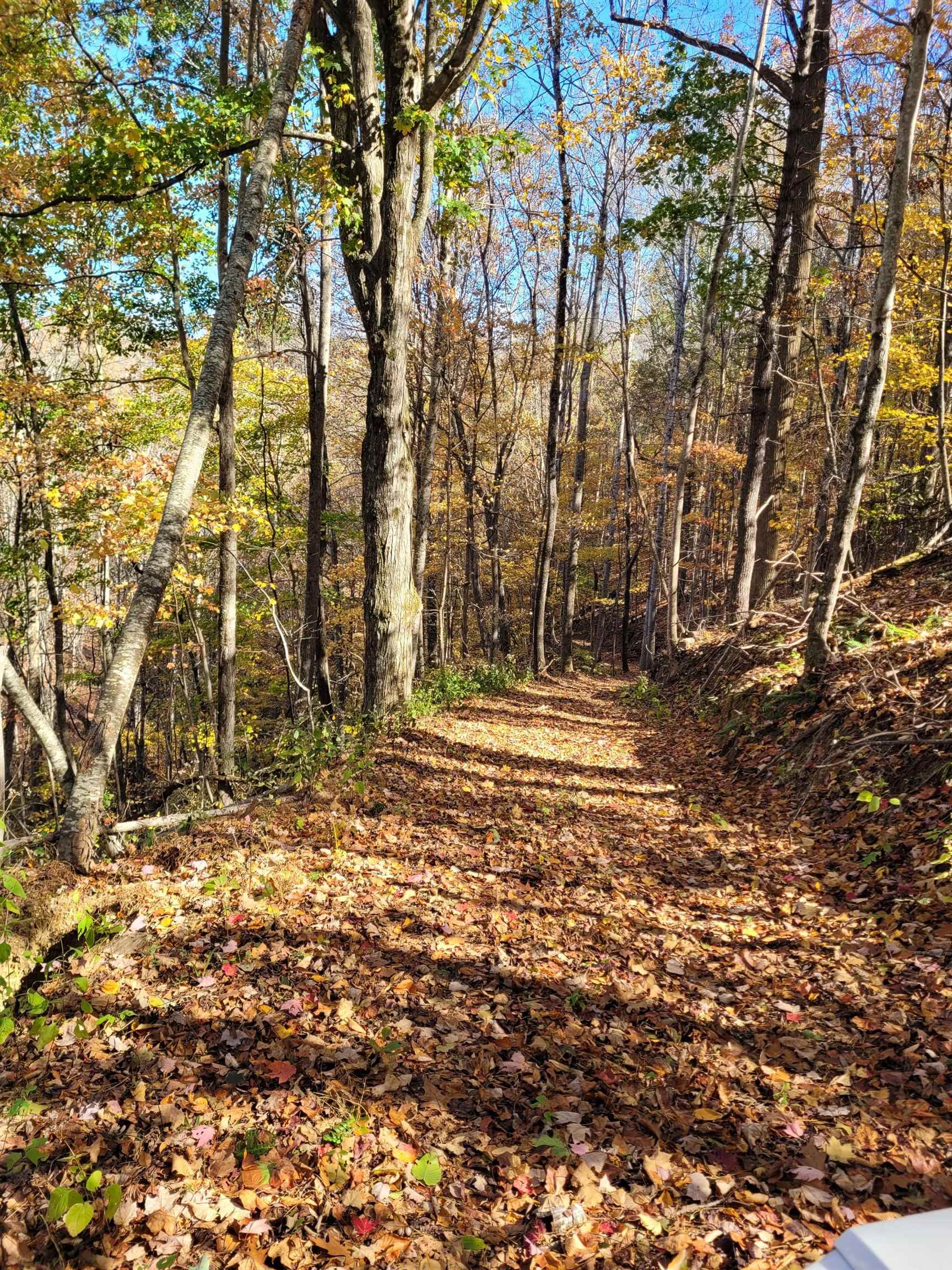 Tbd Lota-21.acr Baptist Hollow Road Hiwassee VA 24347