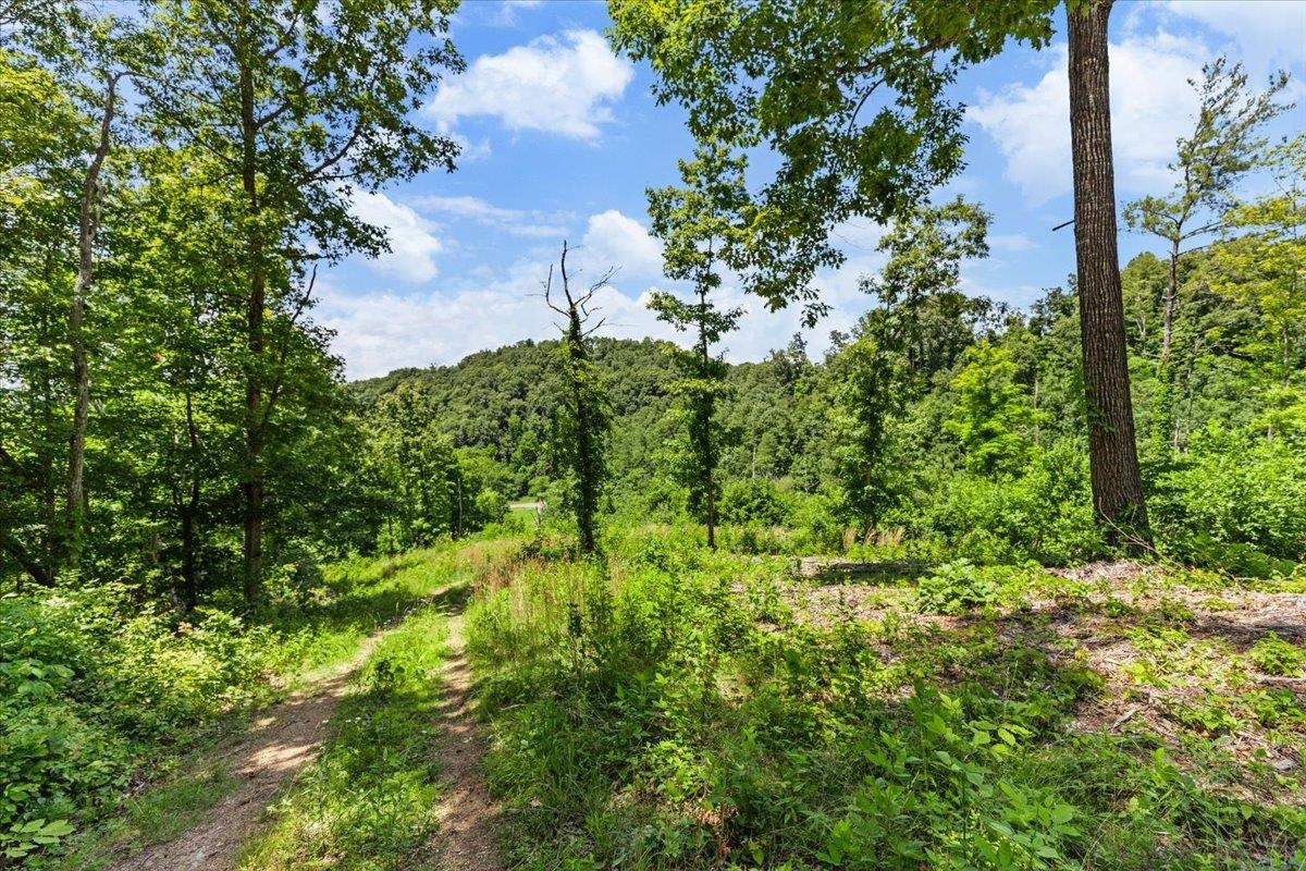 Tbd Lota-21.acr Baptist Hollow Road Hiwassee VA 24347