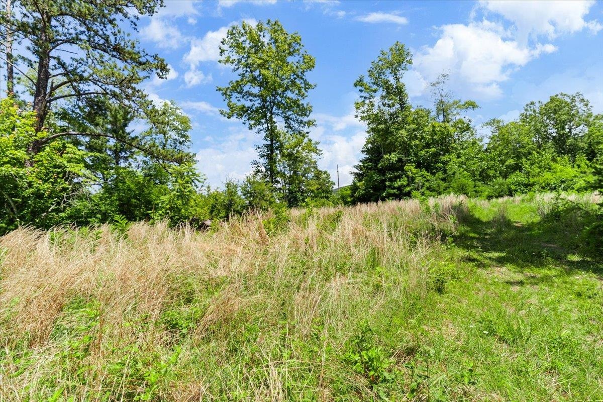 Tbd Lota-21.acr Baptist Hollow Road Hiwassee VA 24347