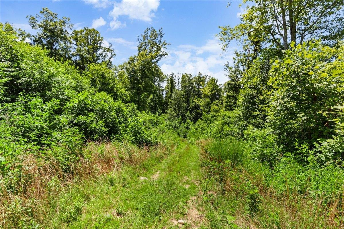 Tbd Lota-21.acr Baptist Hollow Road Hiwassee VA 24347