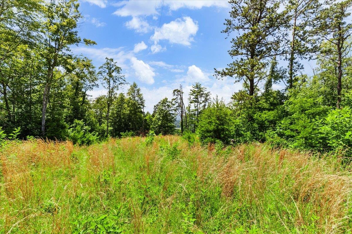 Tbd Lota-21.acr Baptist Hollow Road Hiwassee VA 24347