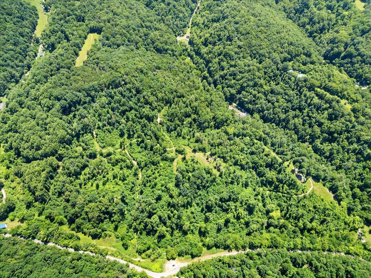 Tbd Lota-21.acr Baptist Hollow Road Hiwassee VA 24347