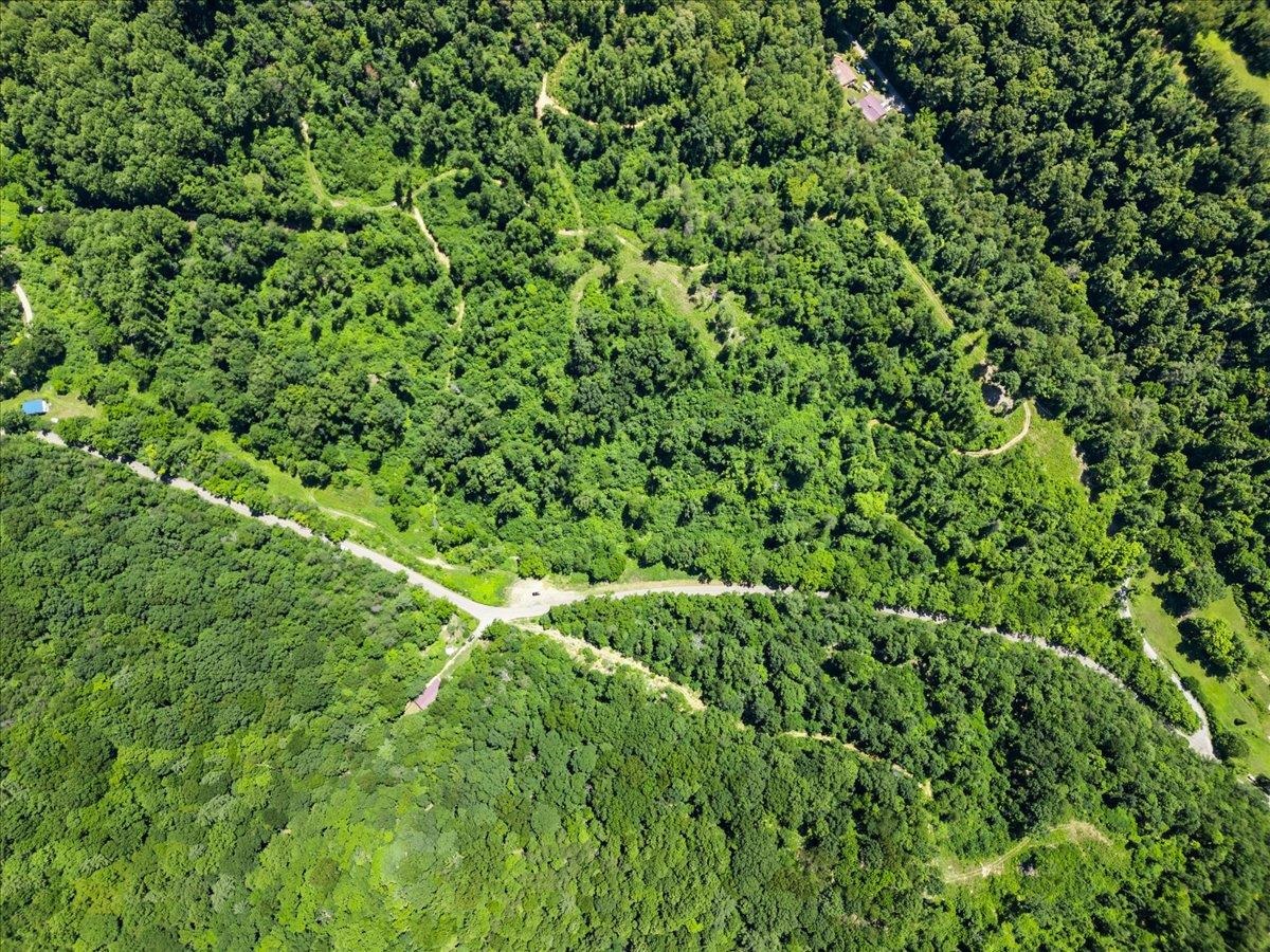 Tbd Lota-21.acr Baptist Hollow Road Hiwassee VA 24347