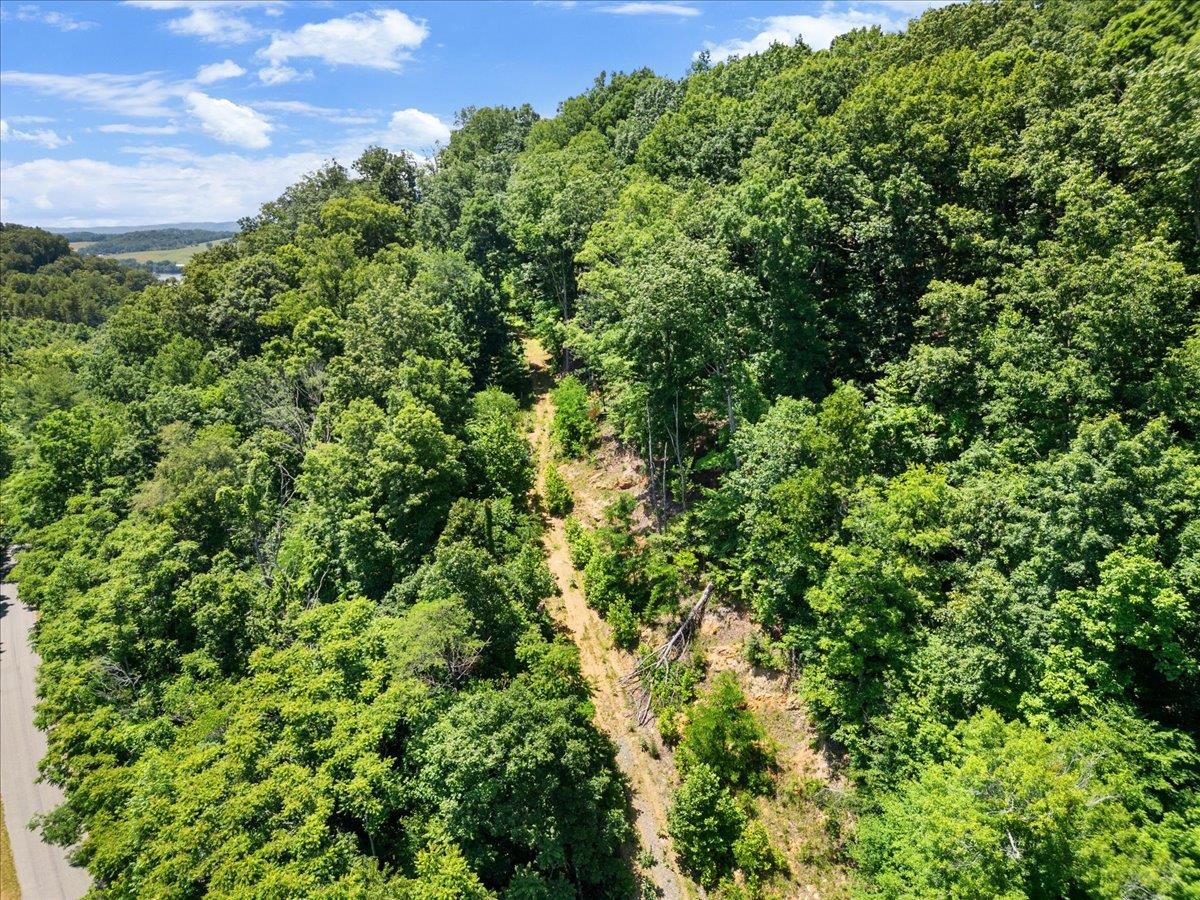 Tbd Lota-21.acr Baptist Hollow Road Hiwassee VA 24347