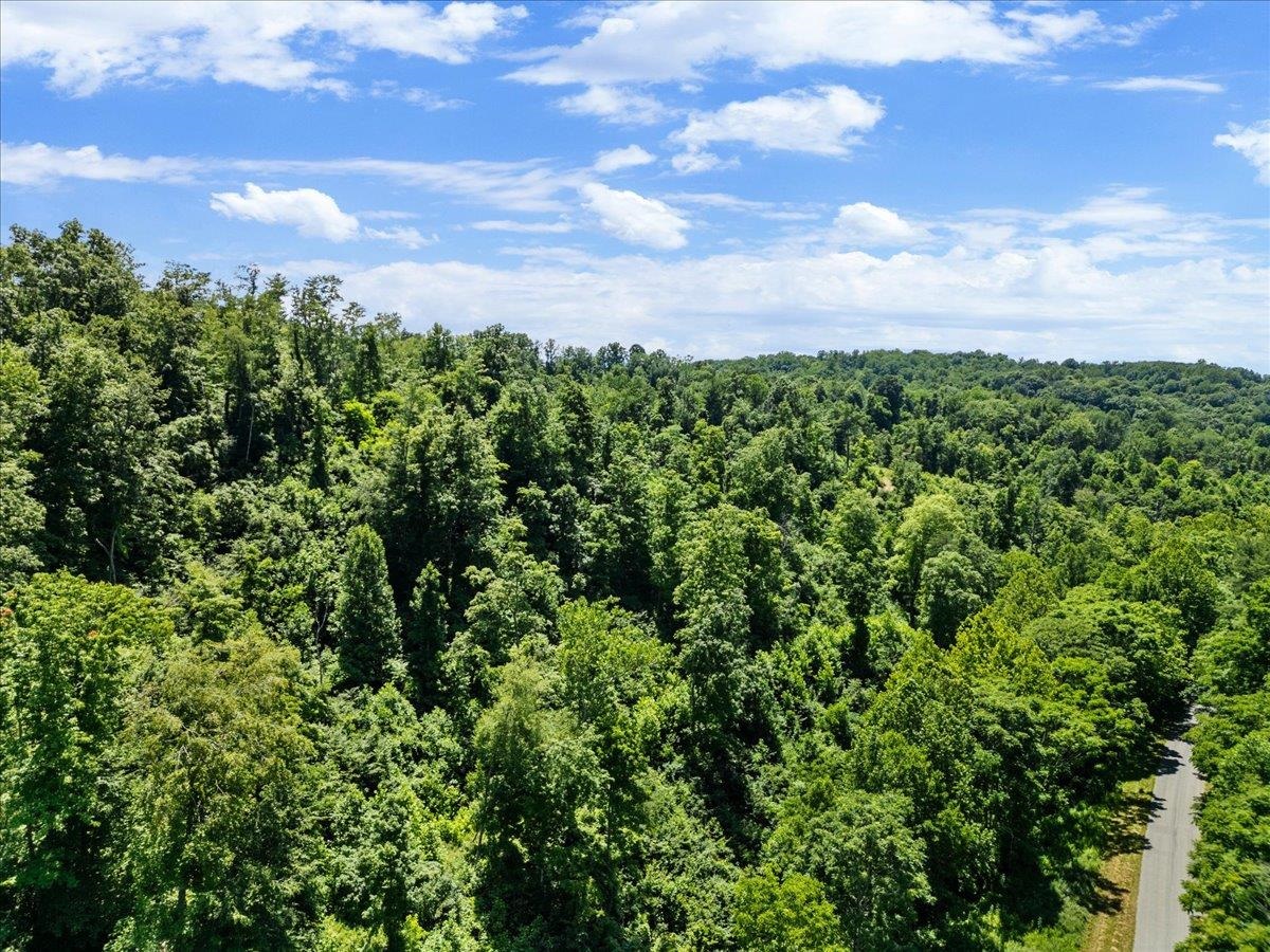 Tbd Lota-21.acr Baptist Hollow Road Hiwassee VA 24347