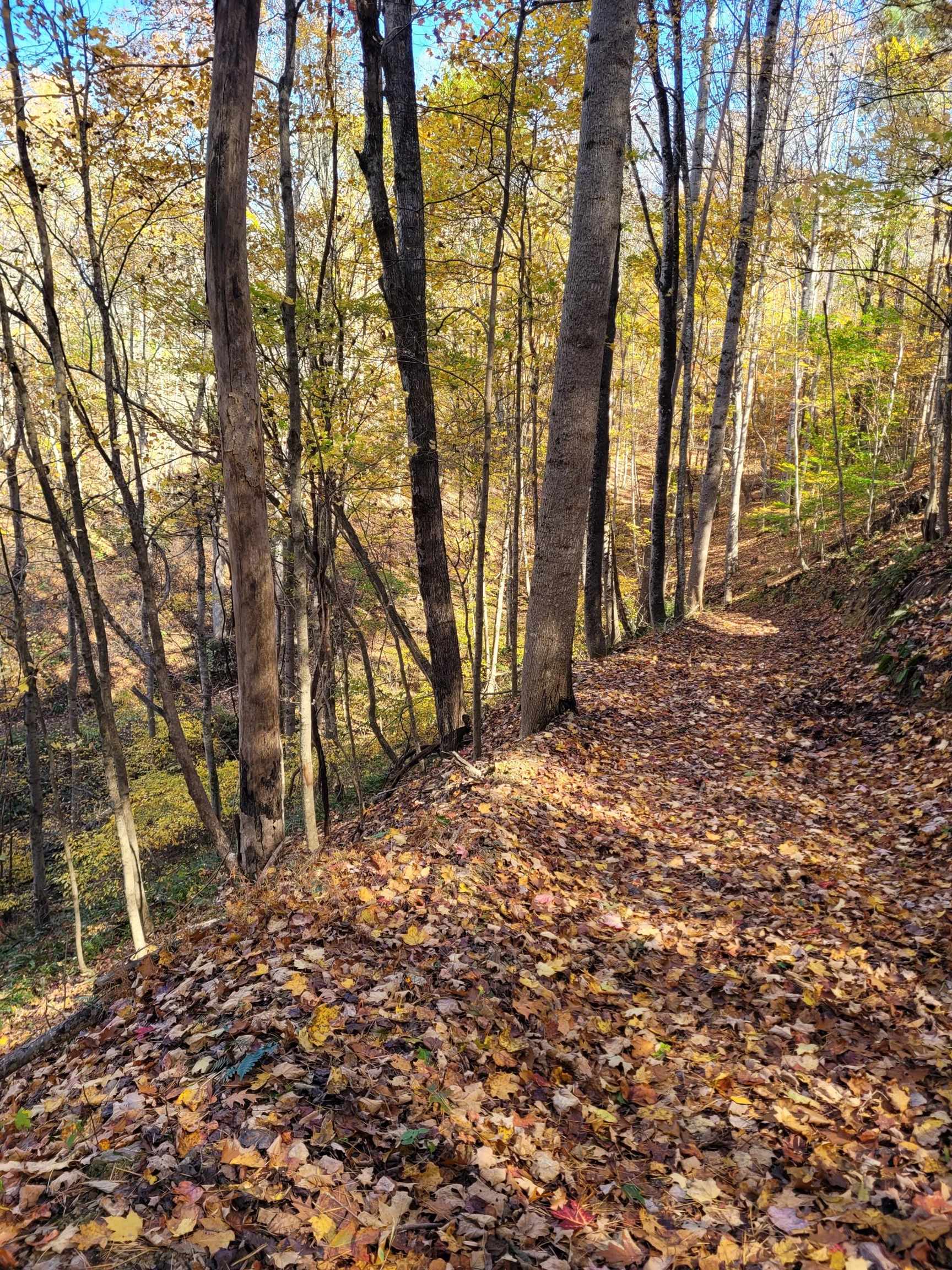Tbd Lota-21.acr Baptist Hollow Road Hiwassee VA 24347