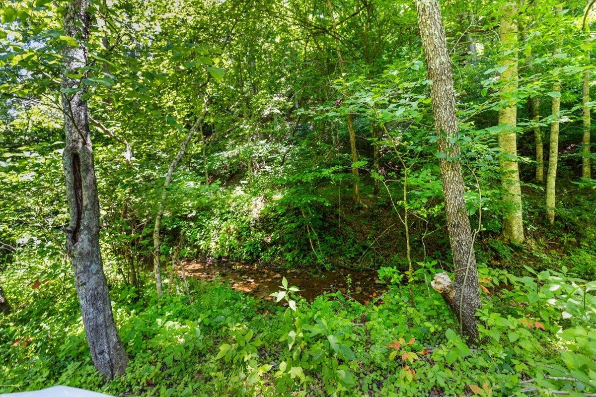 Tbd Lota-21.acr Baptist Hollow Road Hiwassee VA 24347