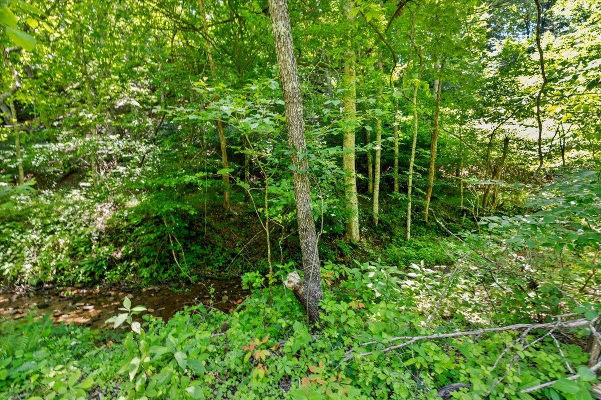 Tbd Lota-21.acr Baptist Hollow Road Hiwassee VA 24347