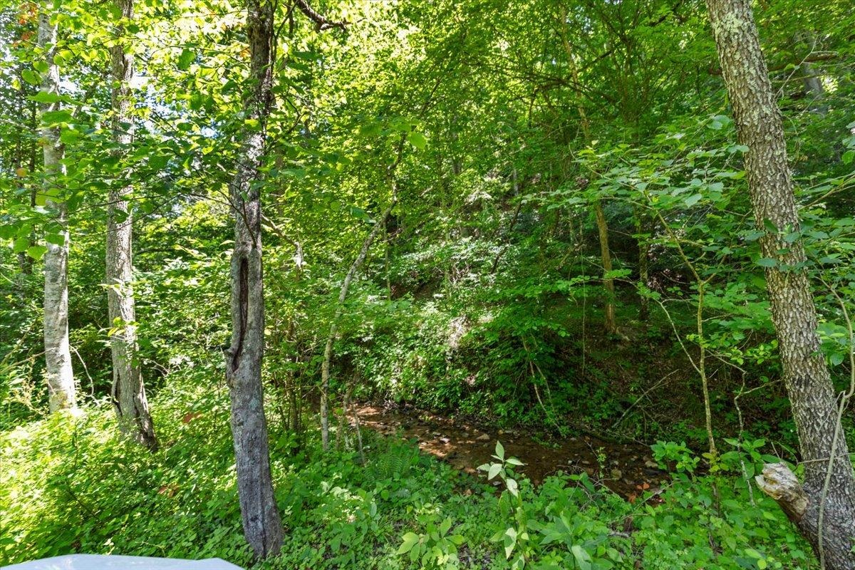 Tbd Lota-21.acr Baptist Hollow Road Hiwassee VA 24347