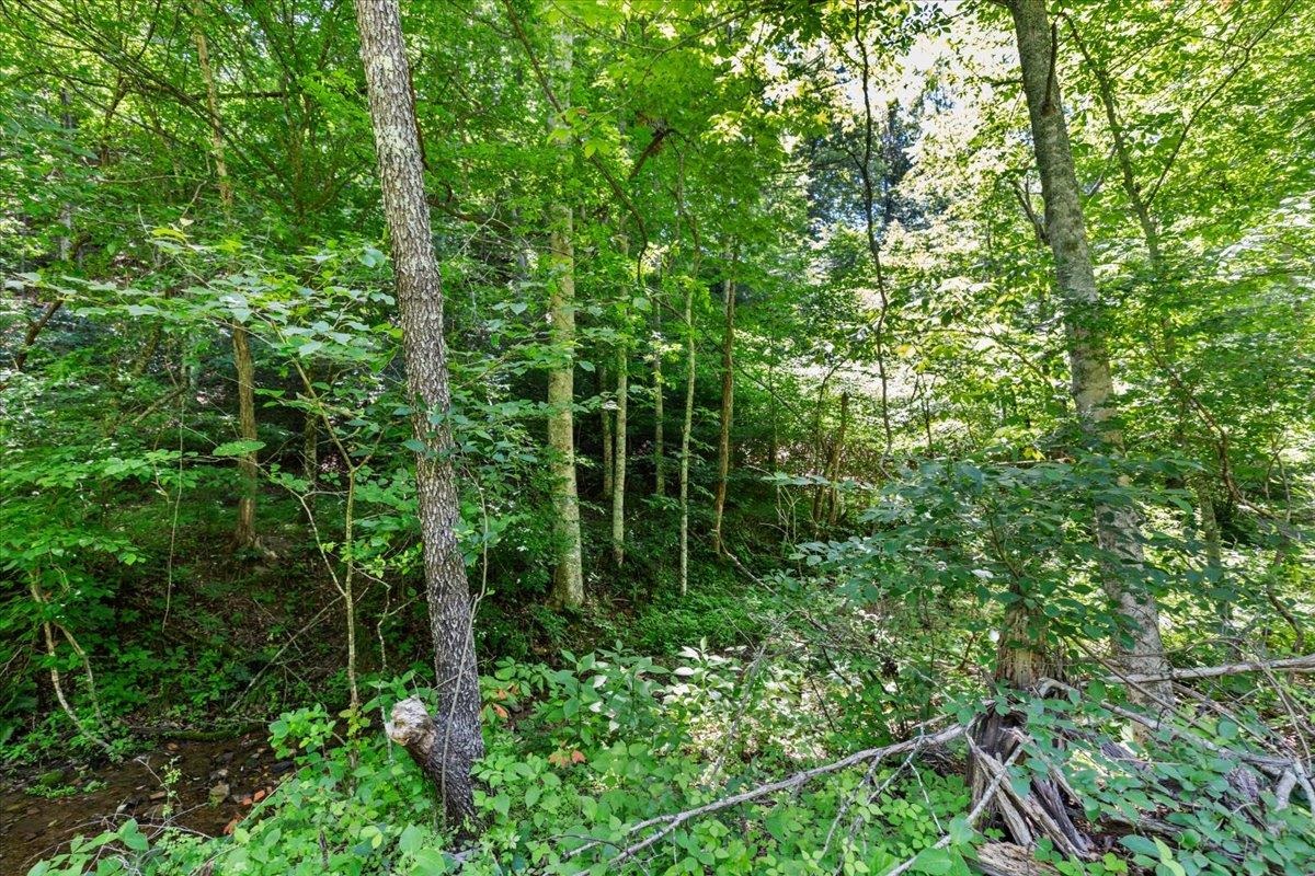 Tbd Lota-21.acr Baptist Hollow Road Hiwassee VA 24347