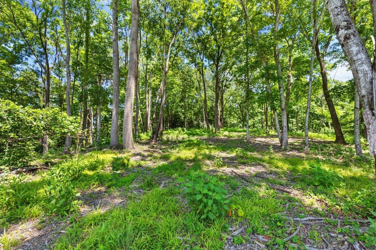 Tbd Lota-21.acr Baptist Hollow Road Hiwassee VA 24347