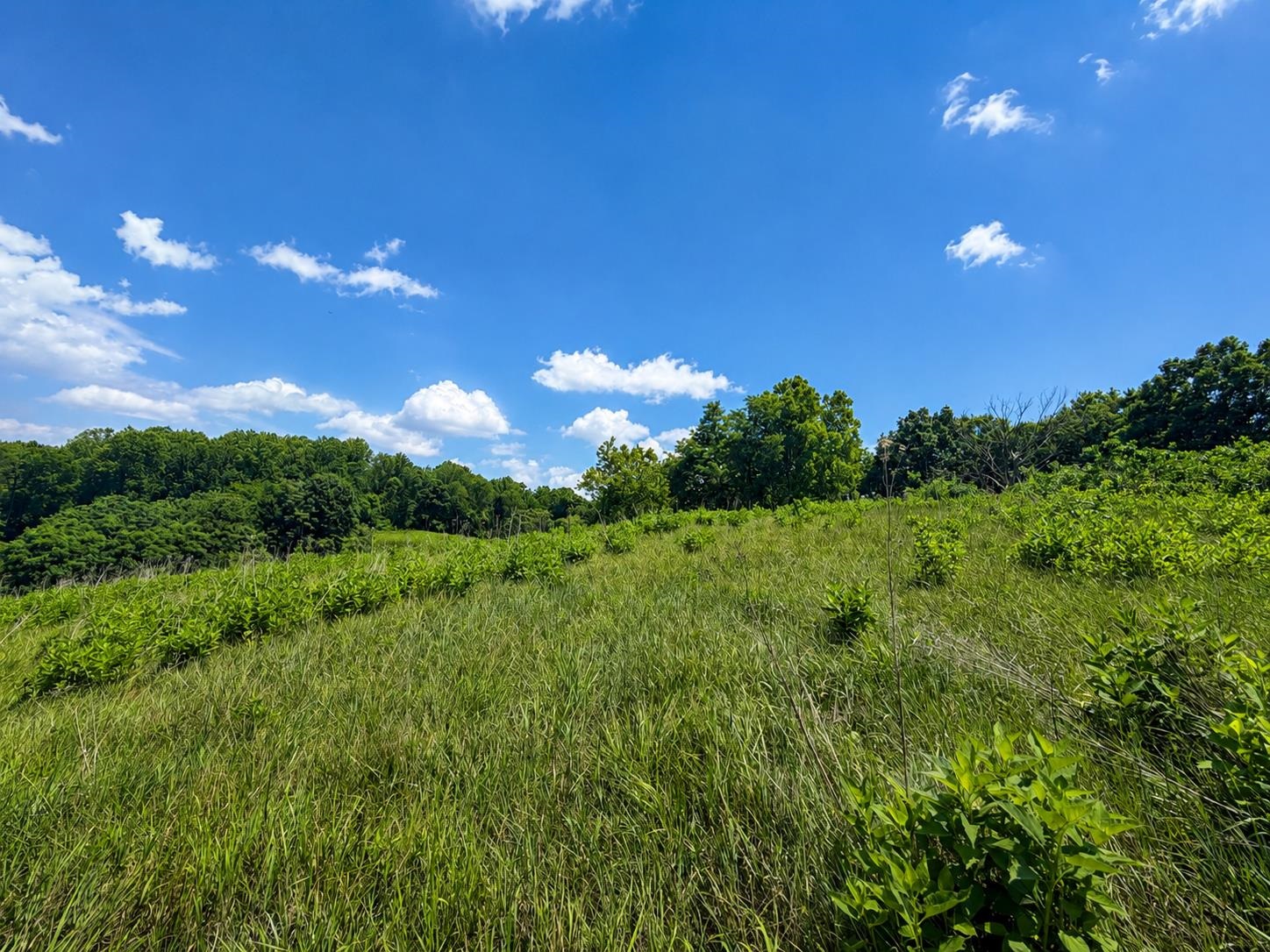 Lot 8 Panorama Drive Pembroke VA 24136