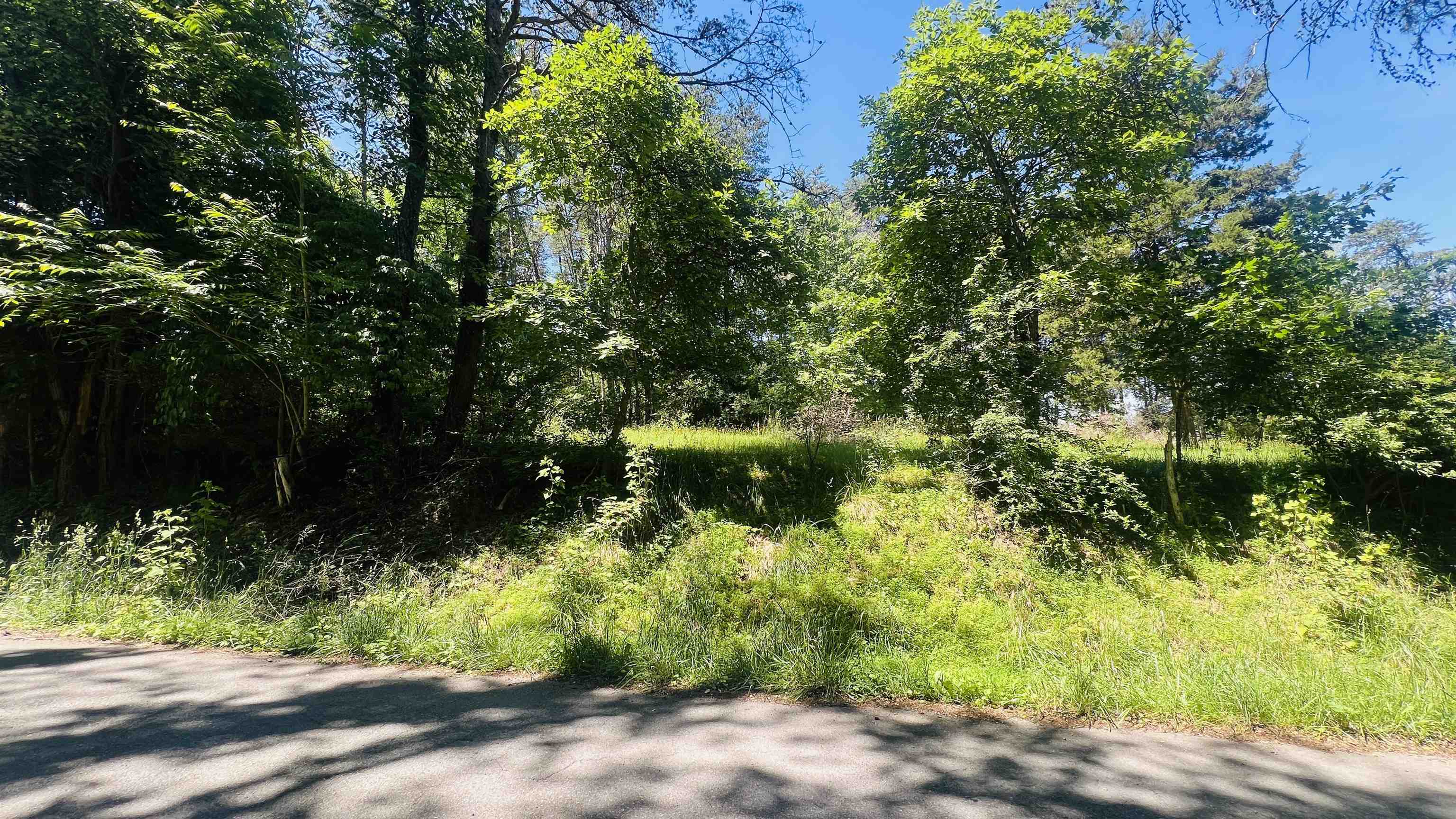Lot 235 Appalachian Road Radford VA 24141
