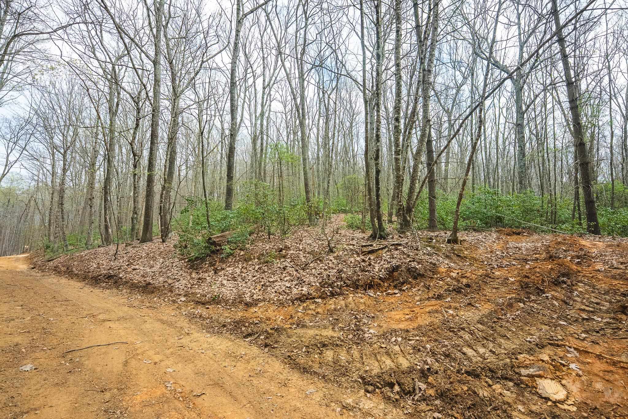 Tbd Cox Store Road Floyd VA 24091