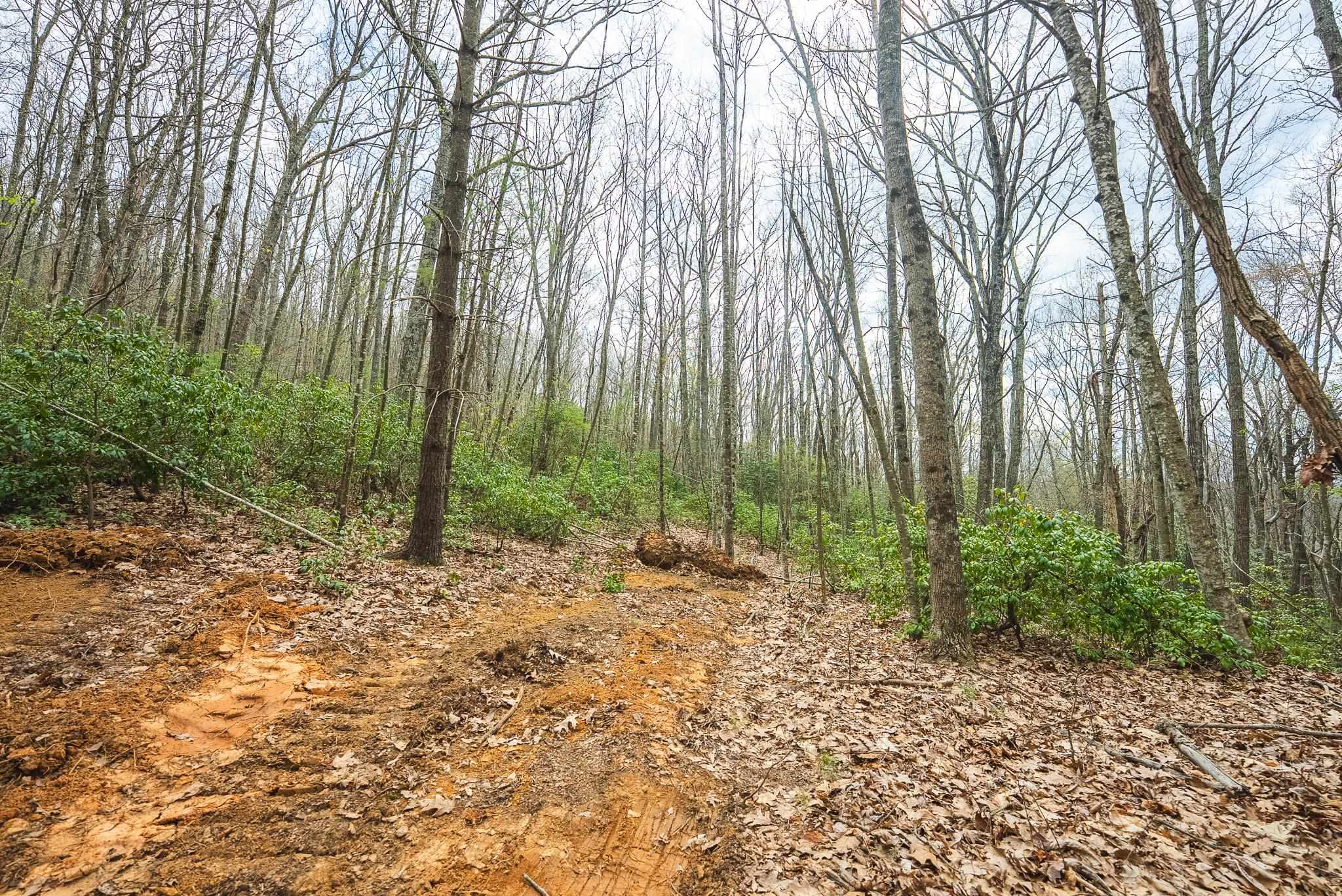 Tbd Cox Store Road Floyd VA 24091