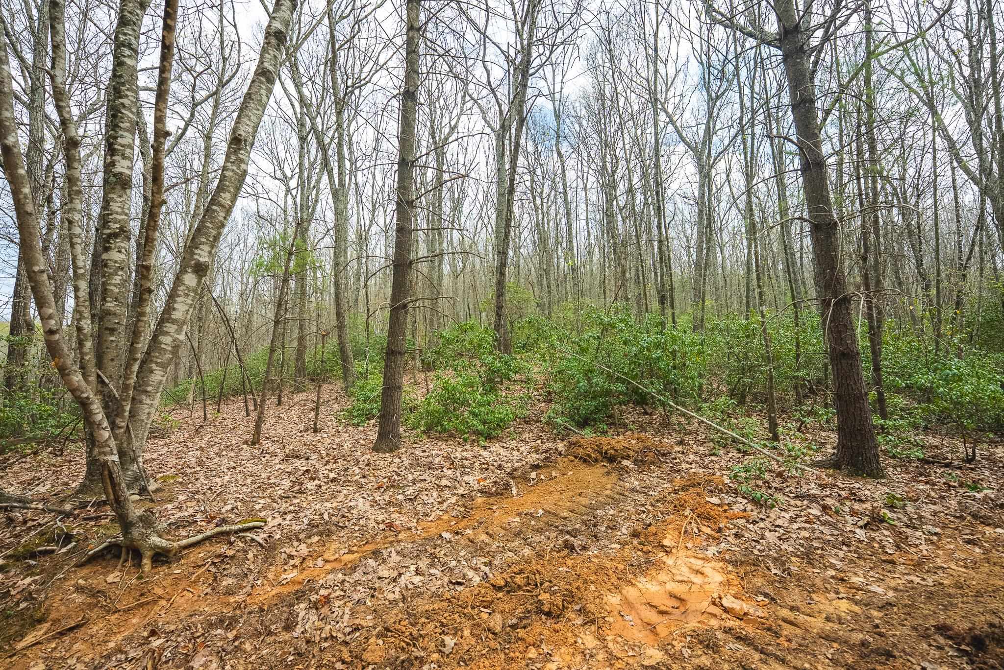 Tbd Cox Store Road Floyd VA 24091