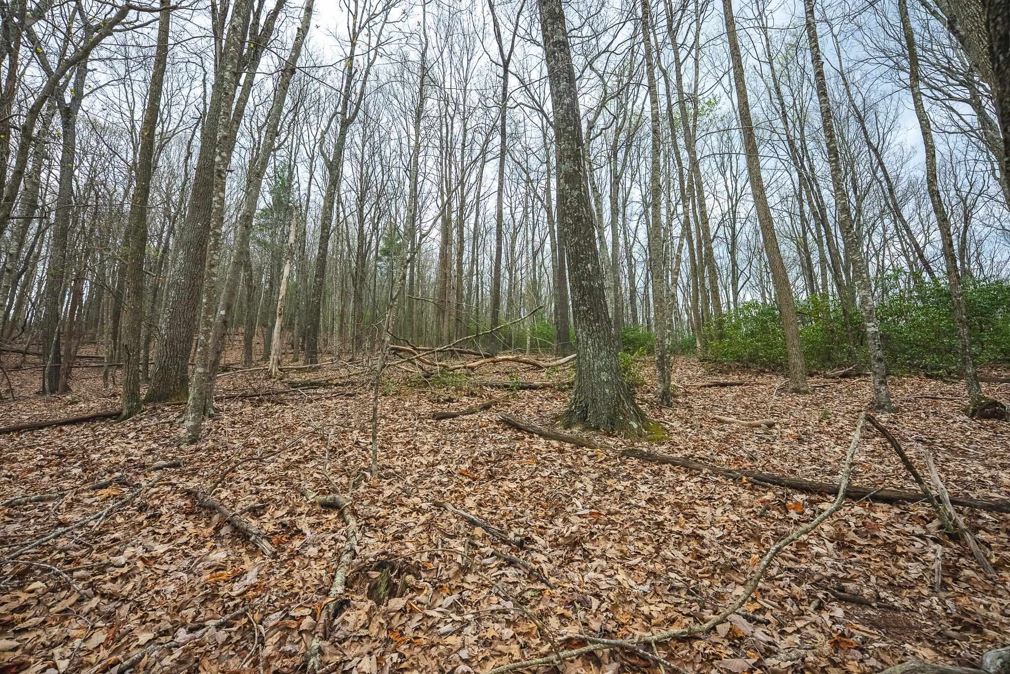 Tbd Cox Store Road Floyd VA 24091