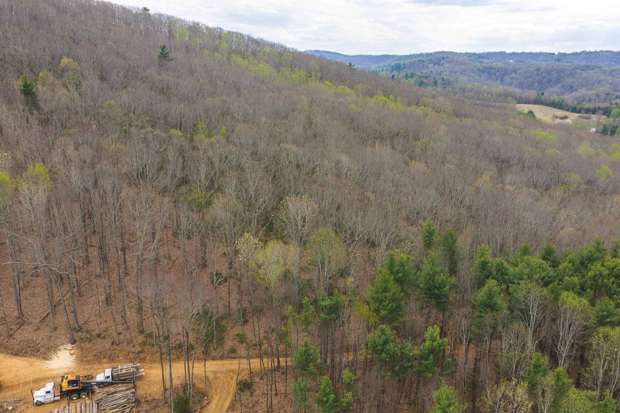Tbd Cox Store Road Floyd VA 24091