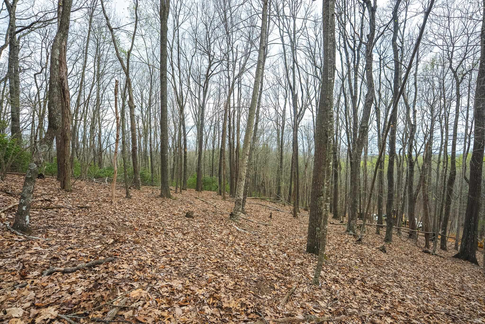 Tbd Cox Store Road Floyd VA 24091