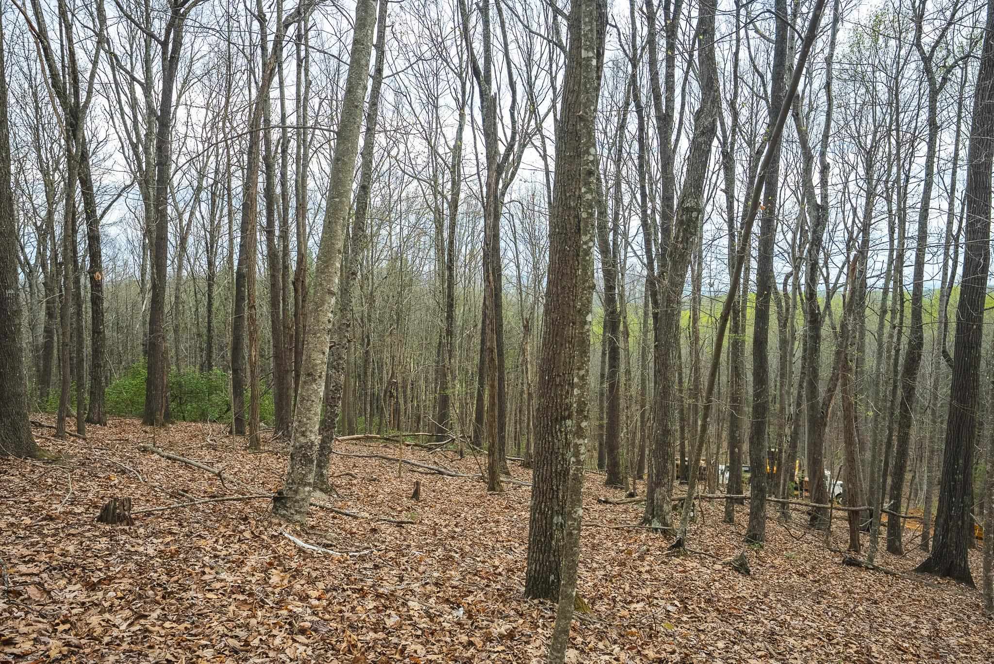 Tbd Cox Store Road Floyd VA 24091