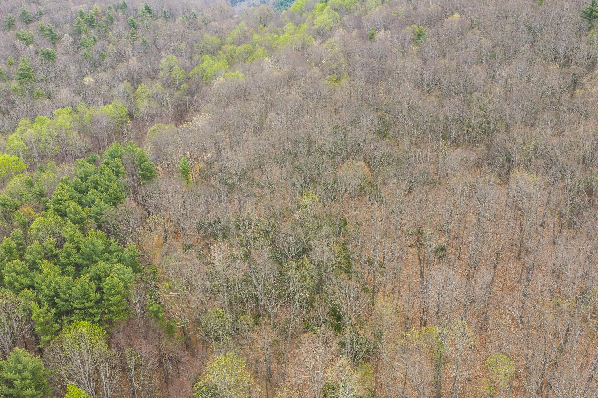 Tbd Cox Store Road Floyd VA 24091