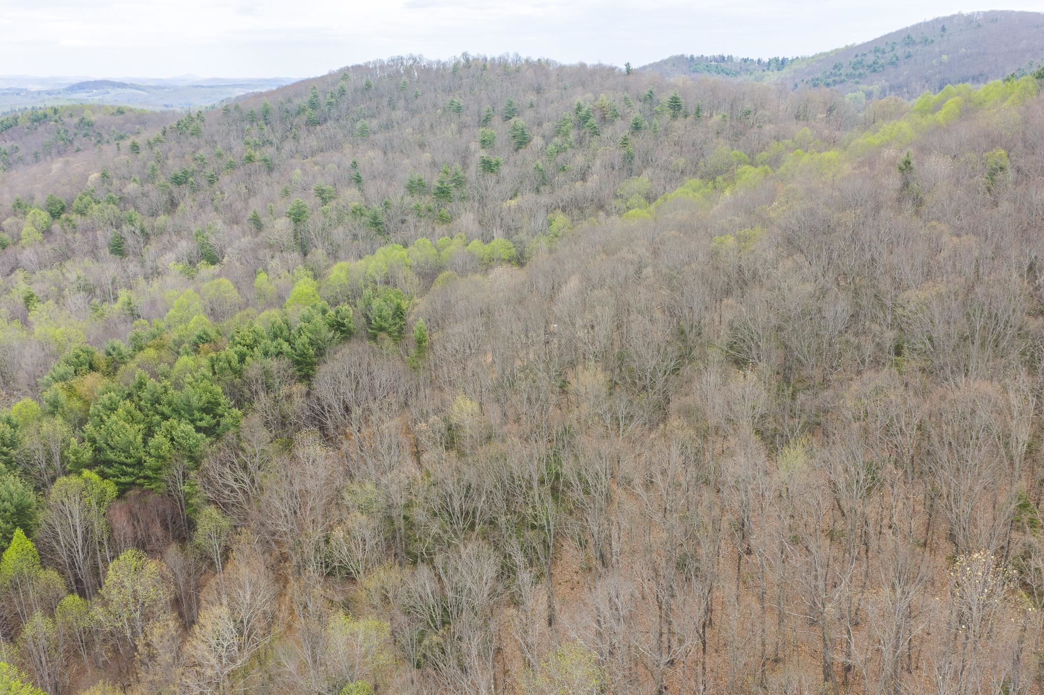 Tbd Cox Store Road Floyd VA 24091