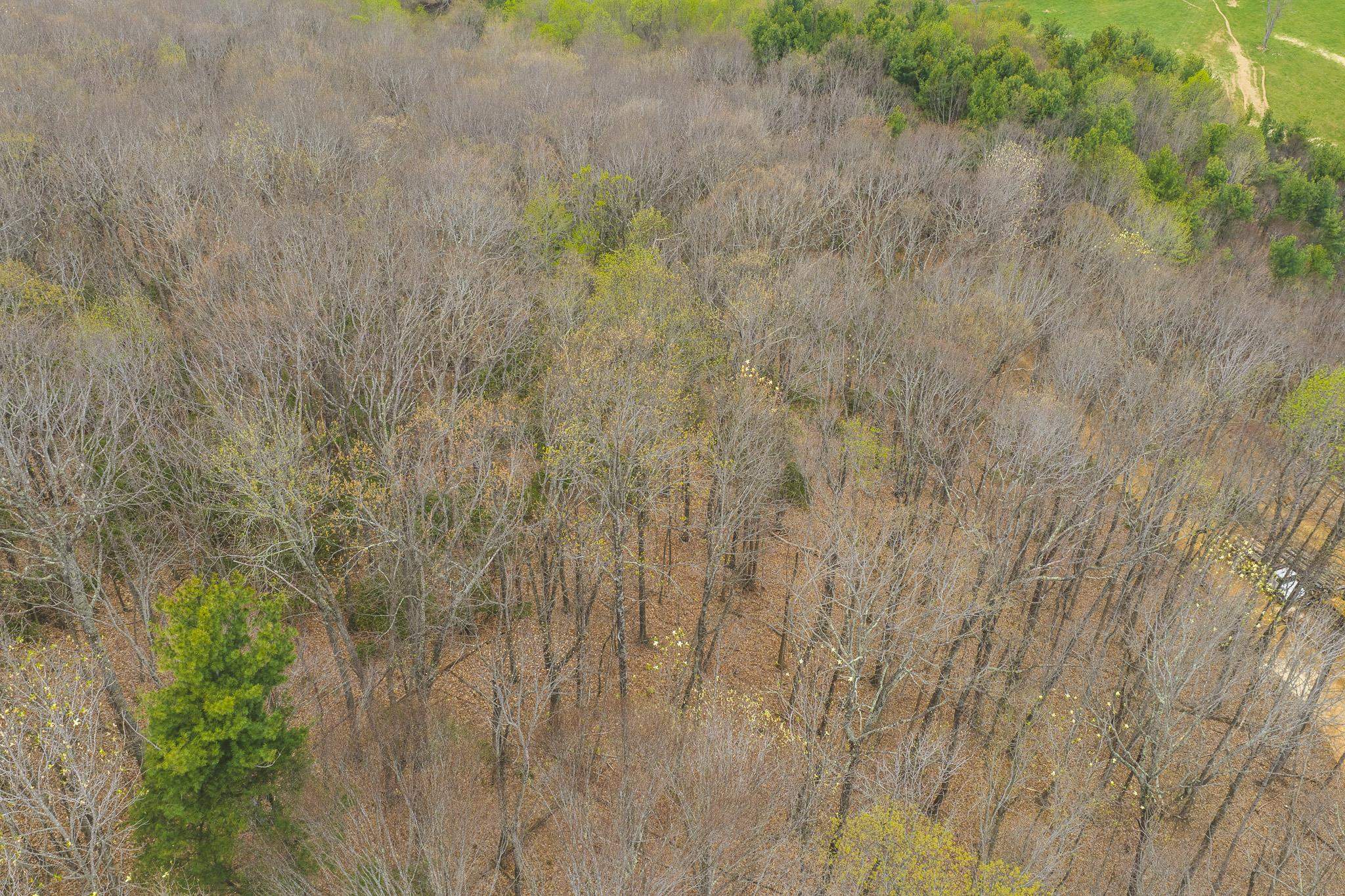Tbd Cox Store Road Floyd VA 24091