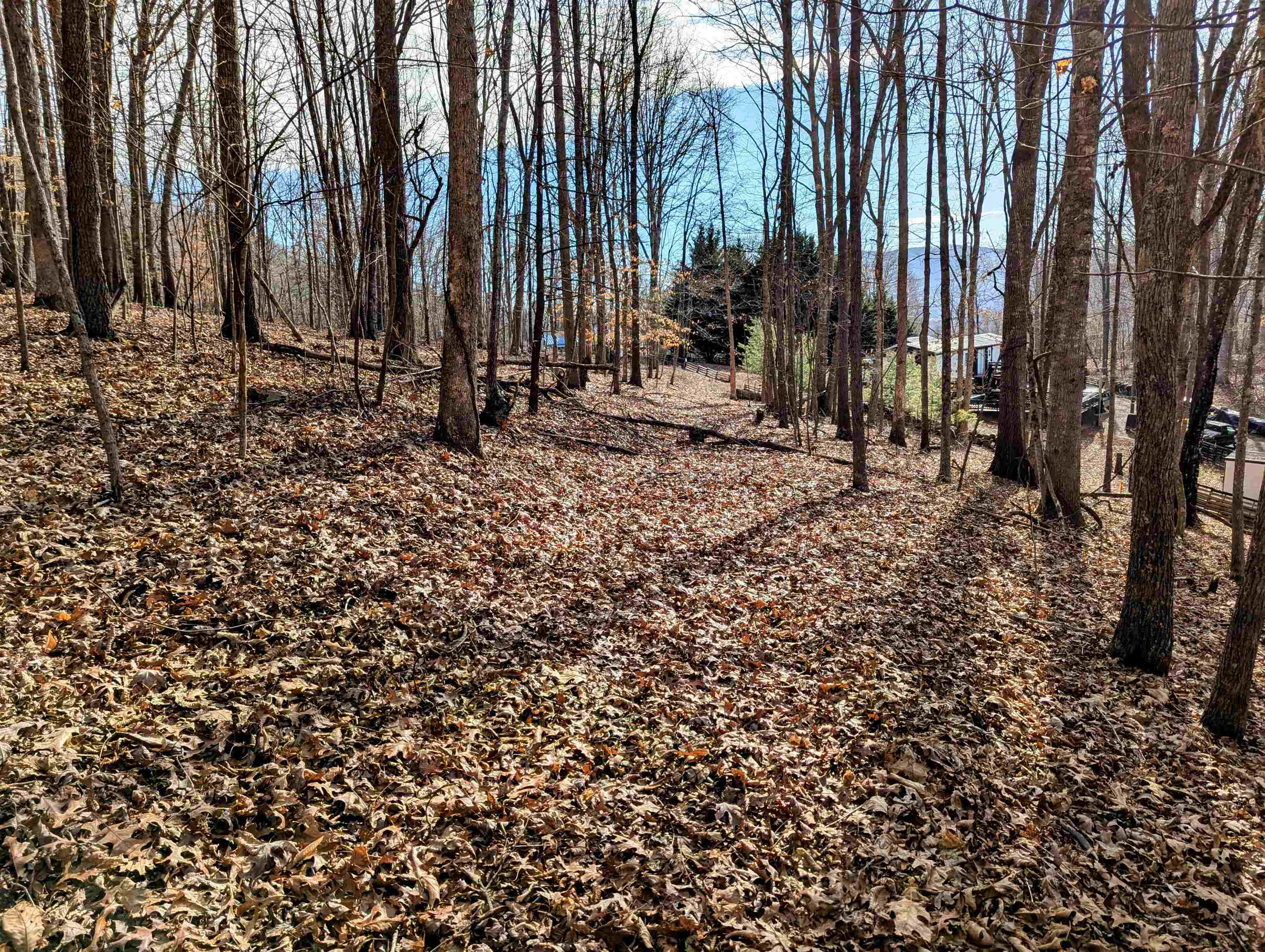 Tbd Irish Mountain Road Allisonia VA 24347