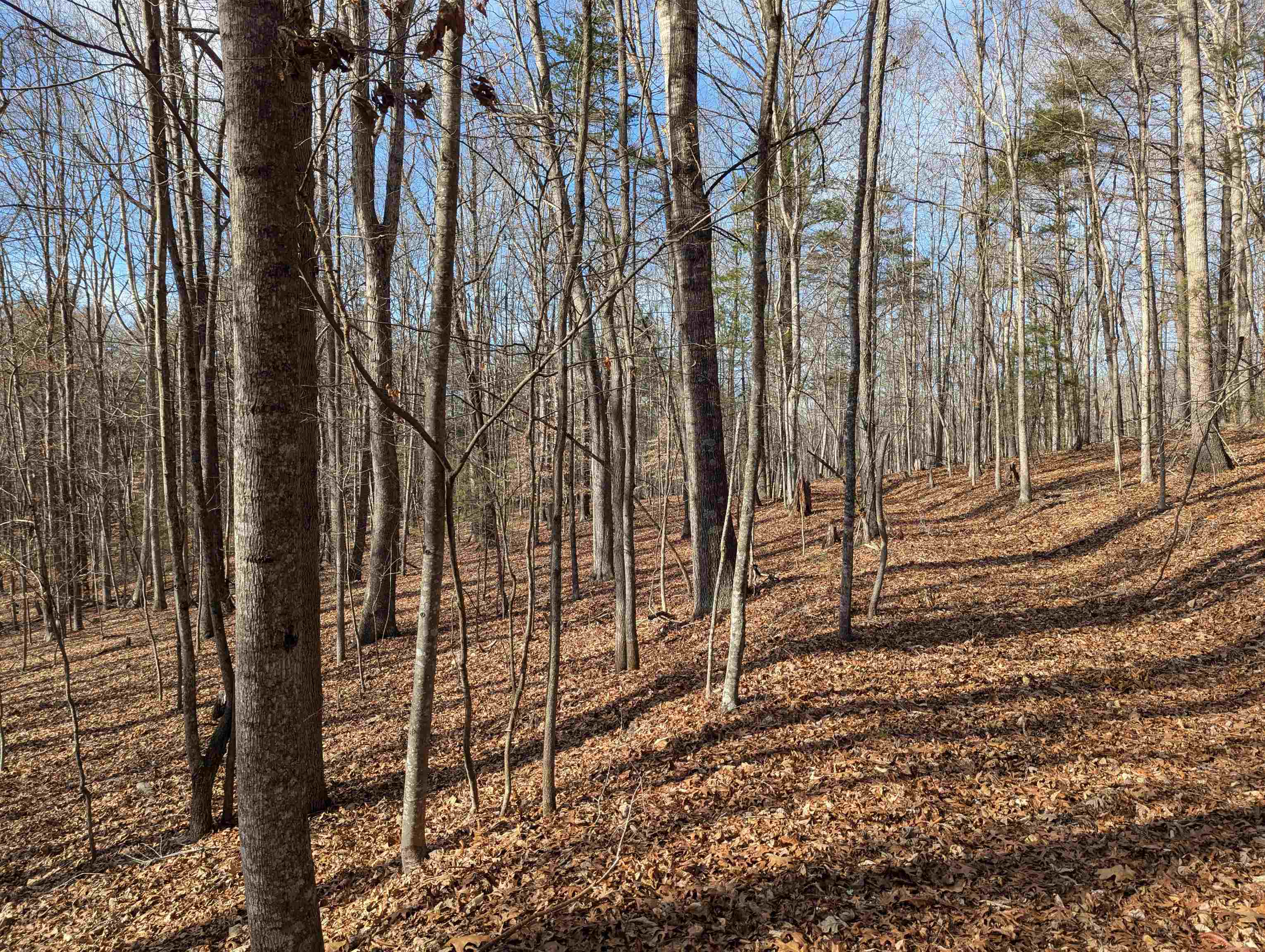 Tbd Irish Mountain Road Allisonia VA 24347