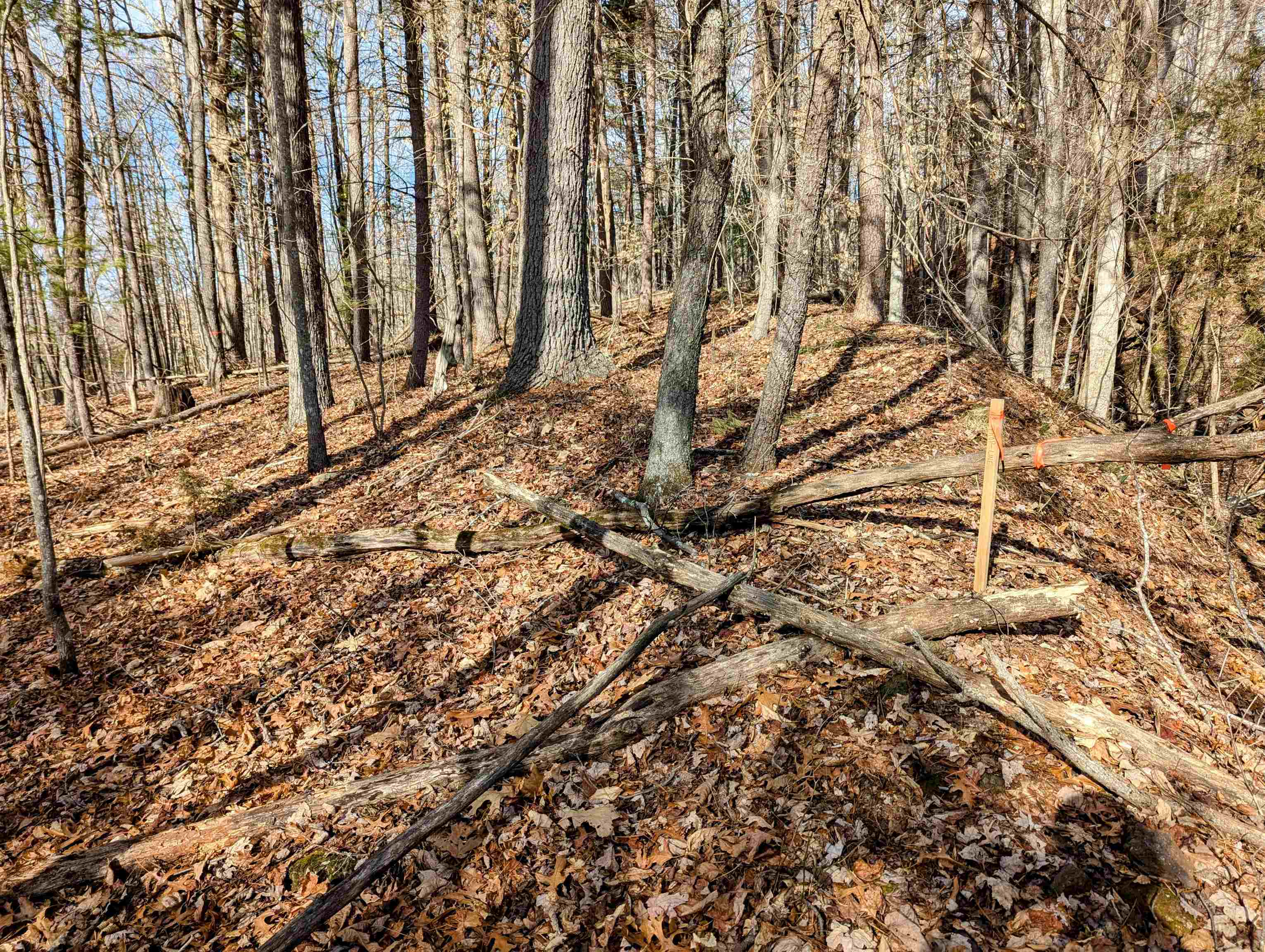 Tbd Irish Mountain Road Allisonia VA 24347