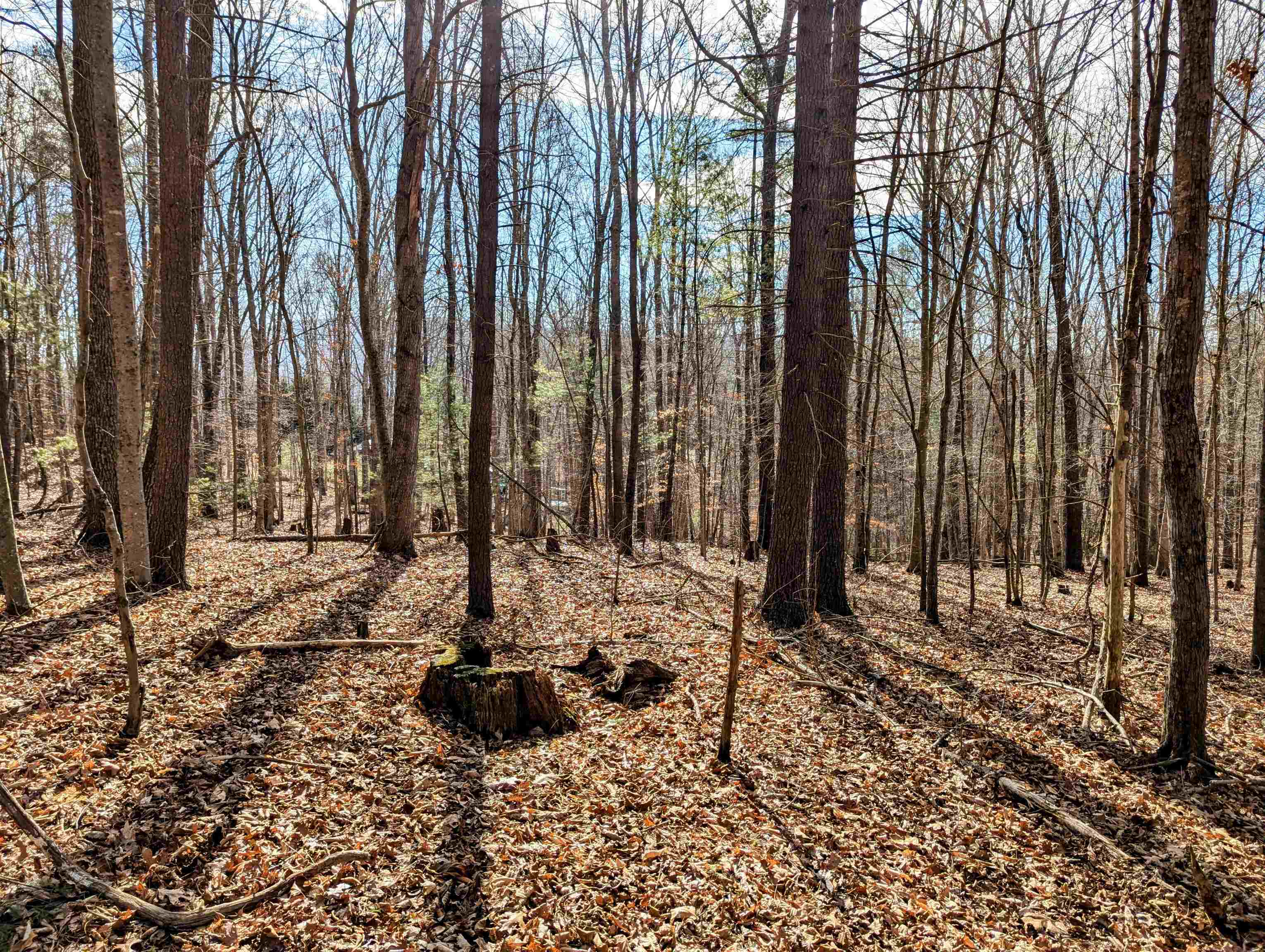 Tbd Irish Mountain Road Allisonia VA 24347