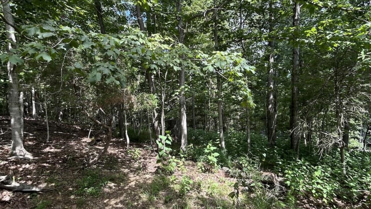 1820 Mountainside Drive Blacksburg VA 24060