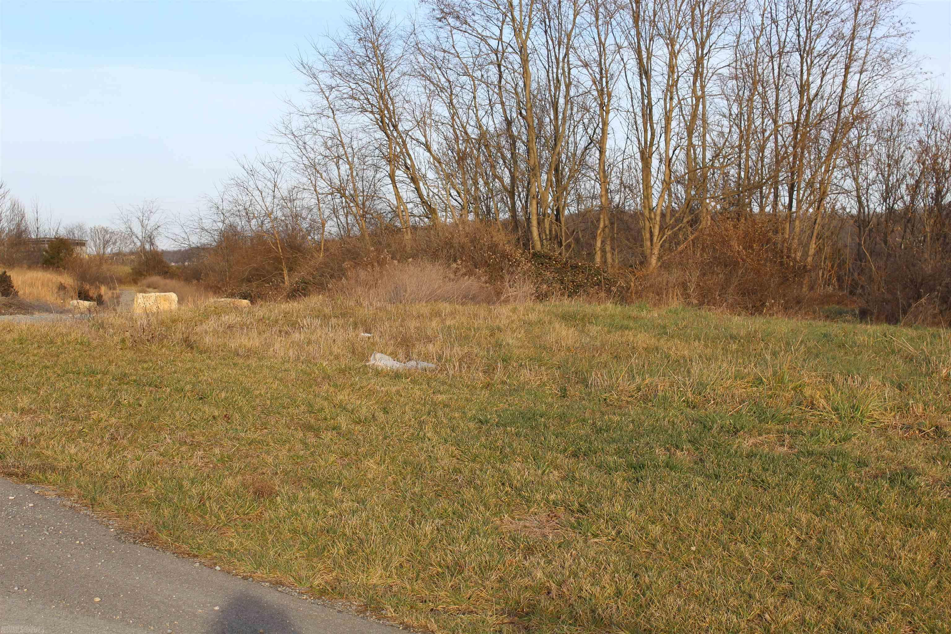 Tbd Stepp Place Dublin VA 24084