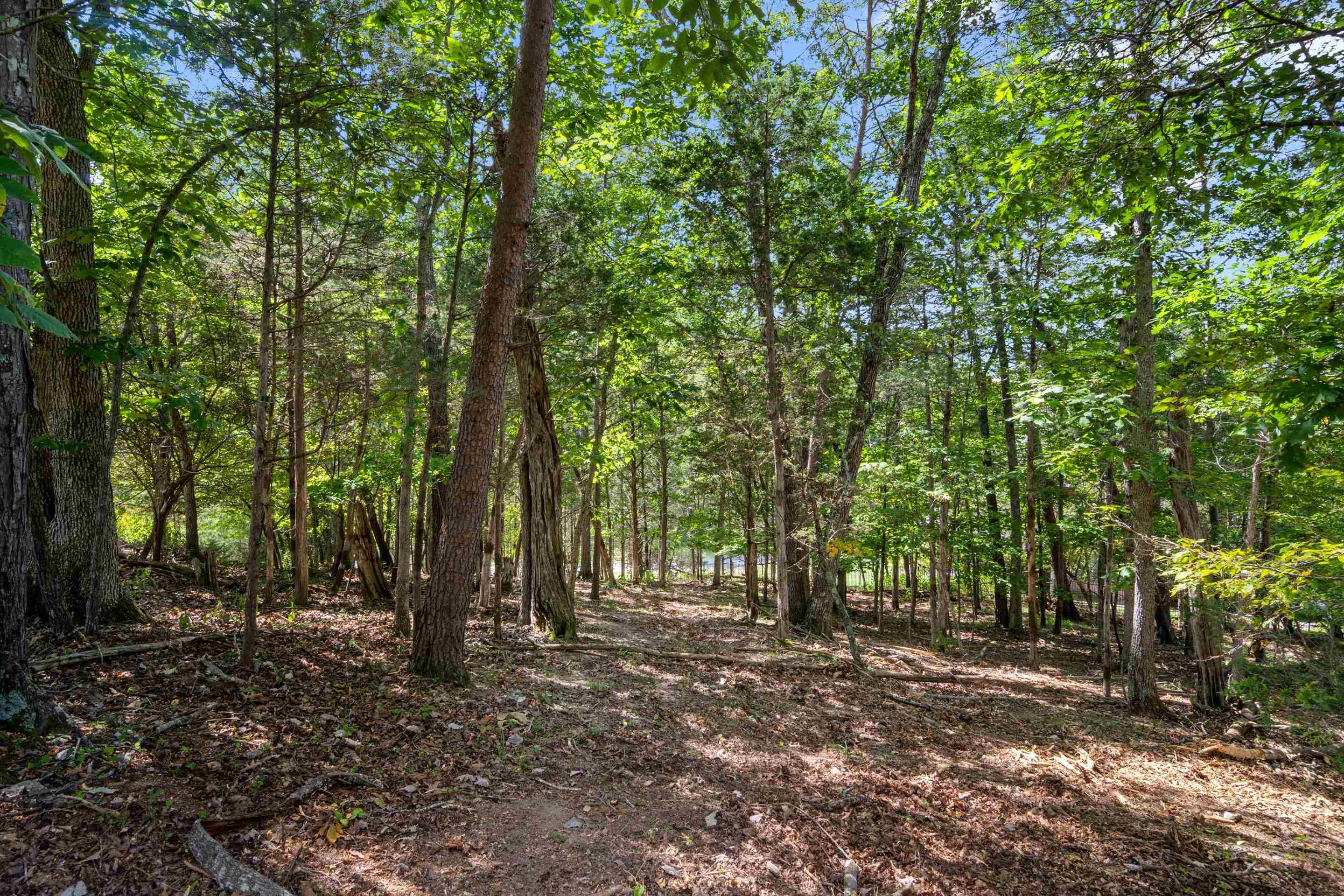 1941 Plank Drive Blacksburg VA 24060