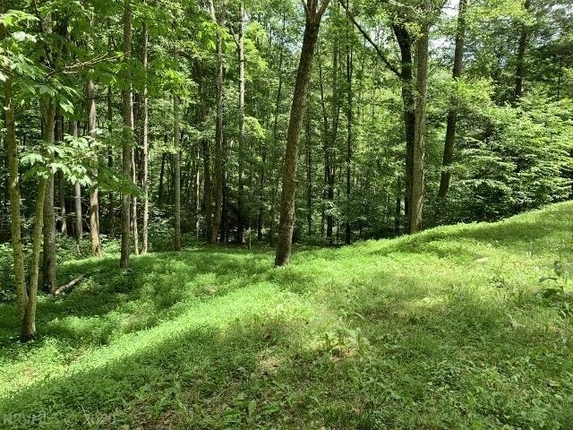 0 Gravely Hill Road Ripplemead VA 24150