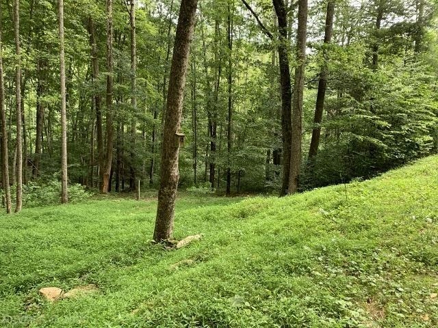 0 Gravely Hill Road Ripplemead VA 24150