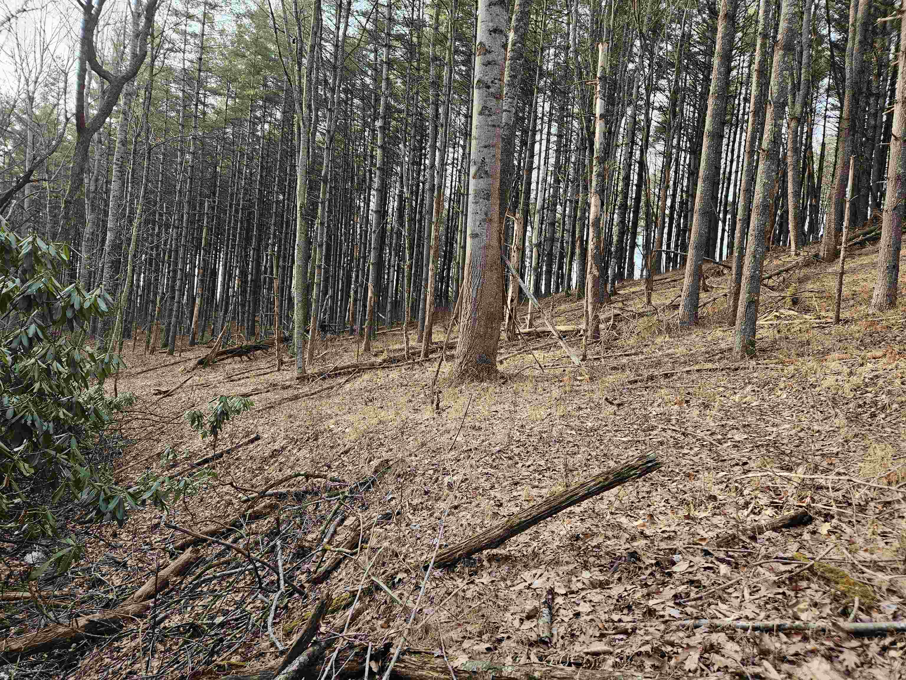 Tbd Sawmill Hill Road NW Willis VA 24380