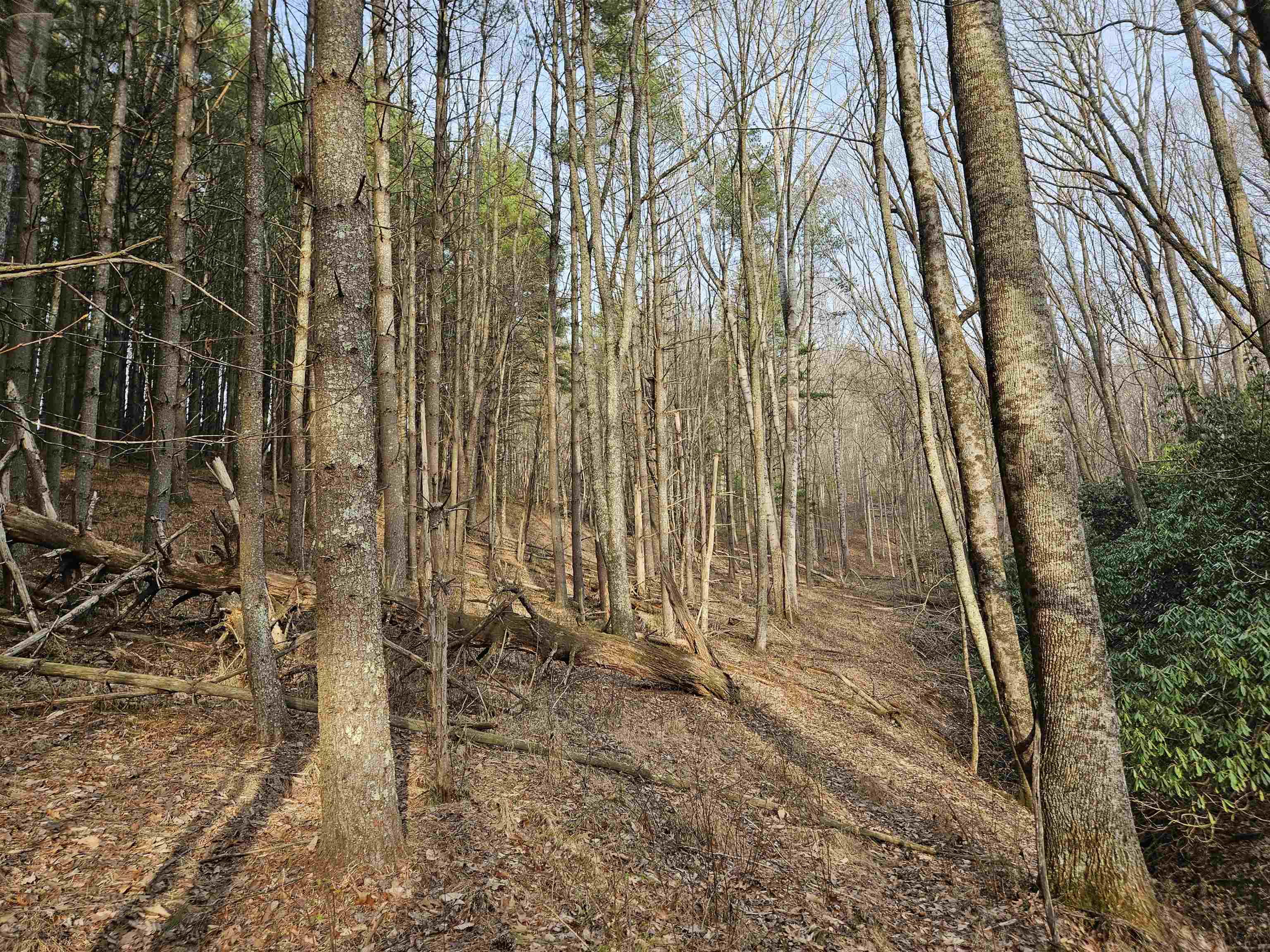 Tbd Sawmill Hill Road NW Willis VA 24380