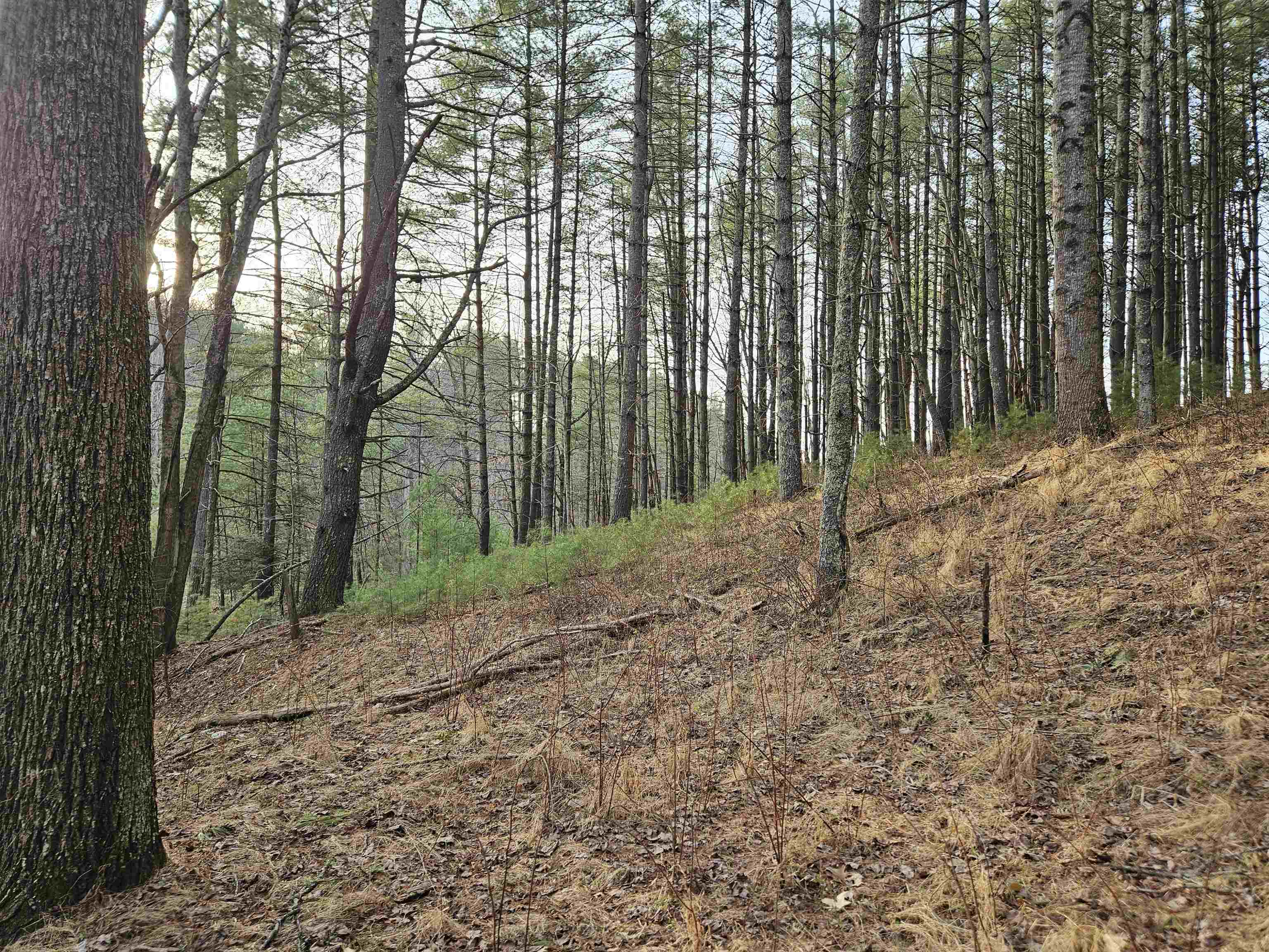 Tbd Sawmill Hill Road NW Willis VA 24380