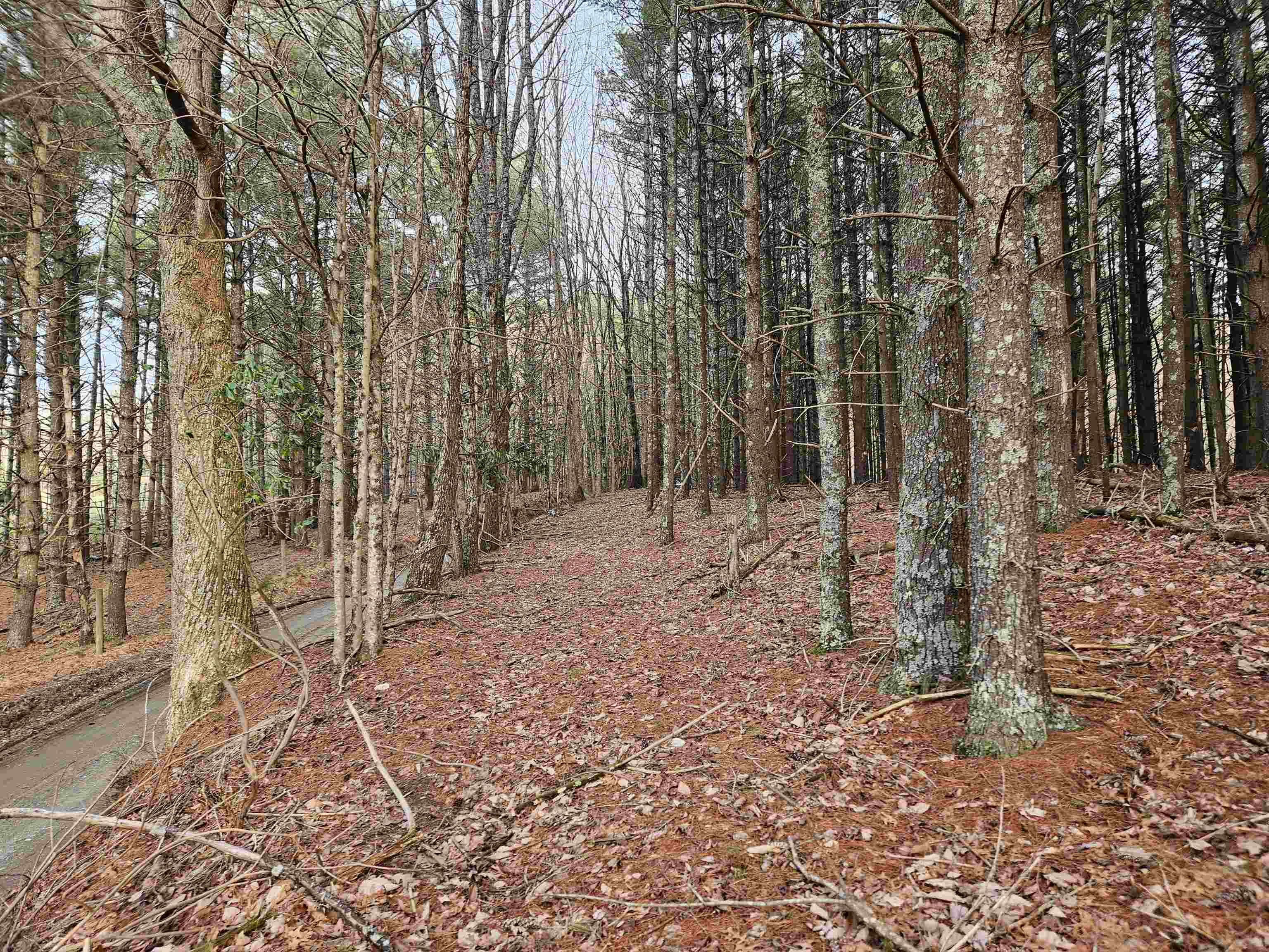 Tbd Sawmill Hill Road NW Willis VA 24380
