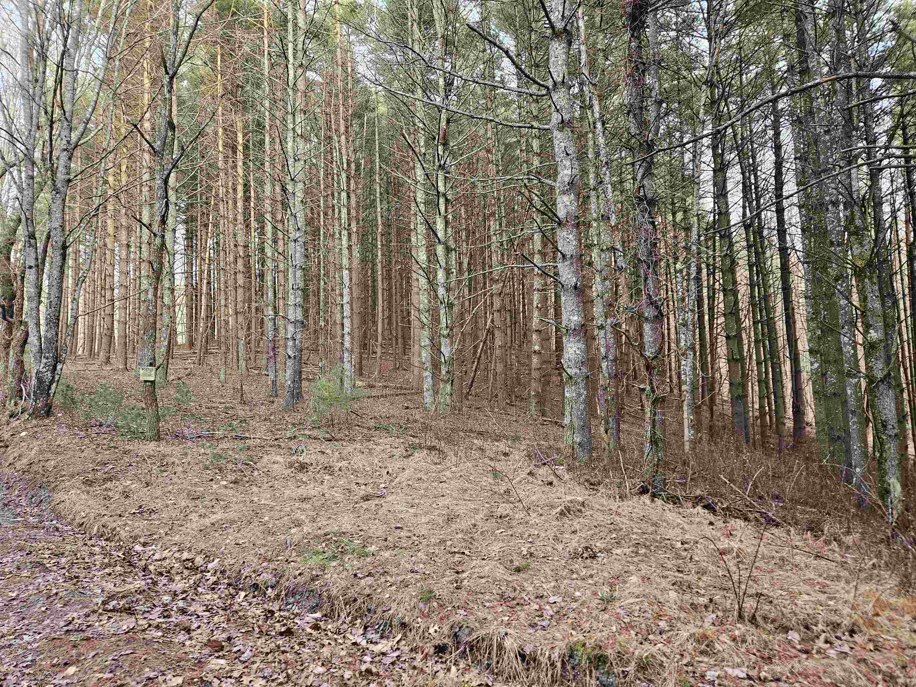 Tbd Sawmill Hill Road NW Willis VA 24380