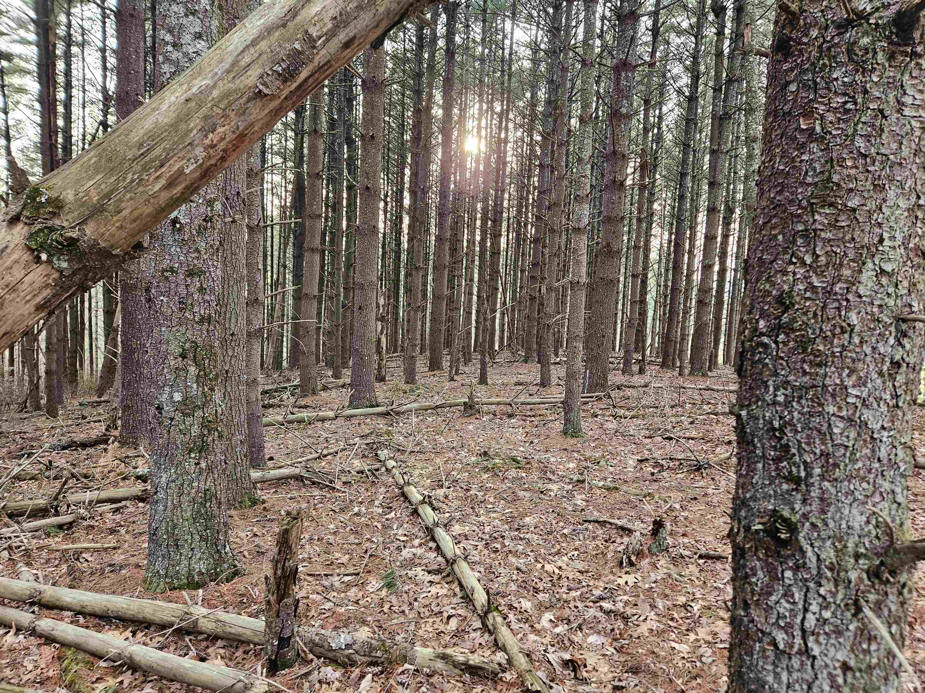 Tbd Sawmill Hill Road NW Willis VA 24380