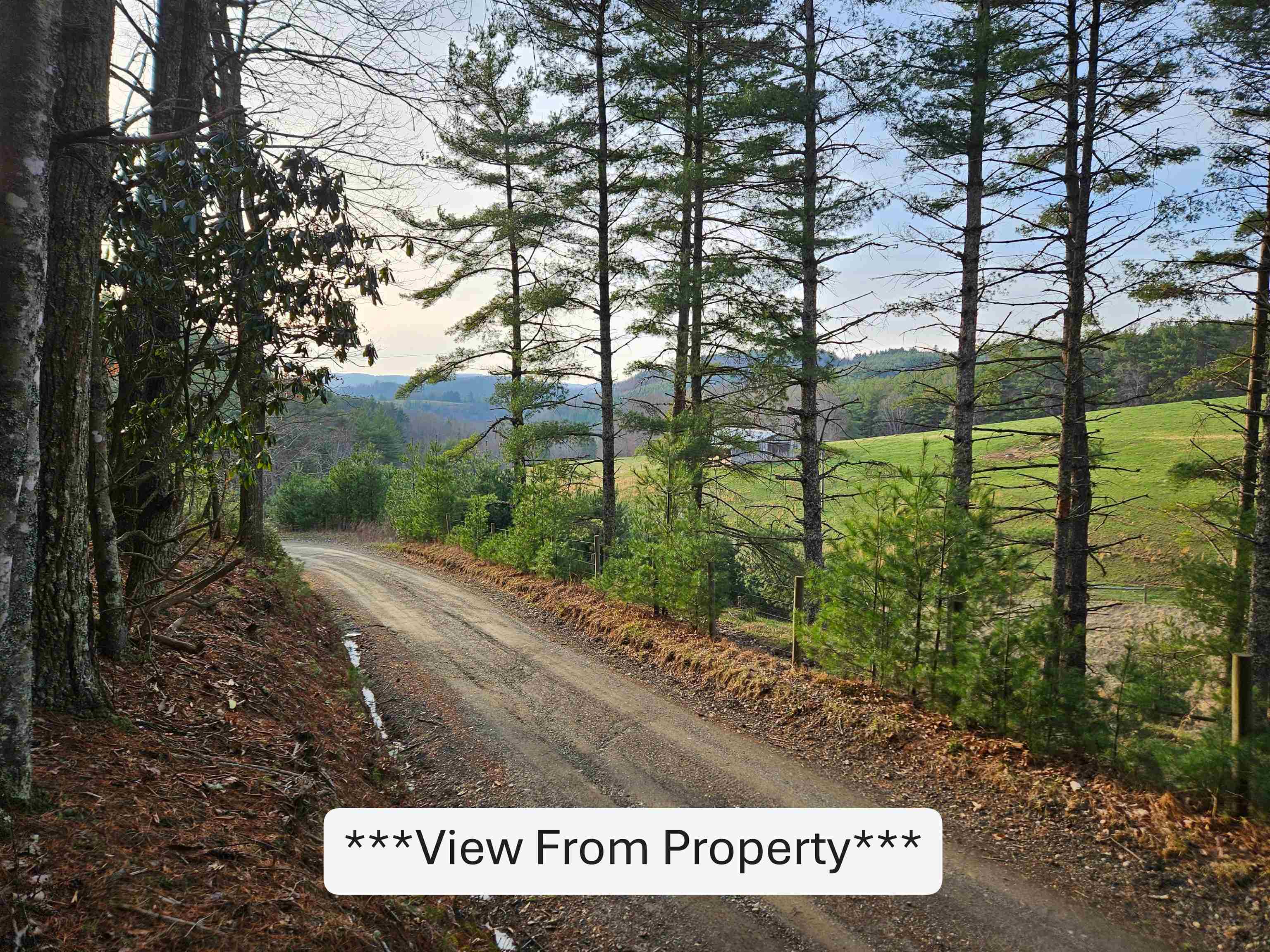 Tbd Sawmill Hill Road NW Willis VA 24380