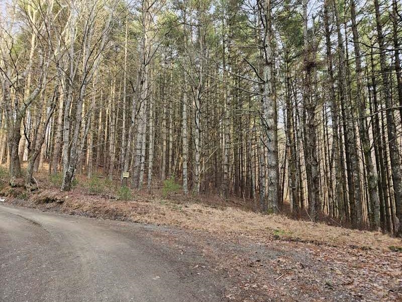 Tbd Sawmill Hill Road NW Willis VA 24380